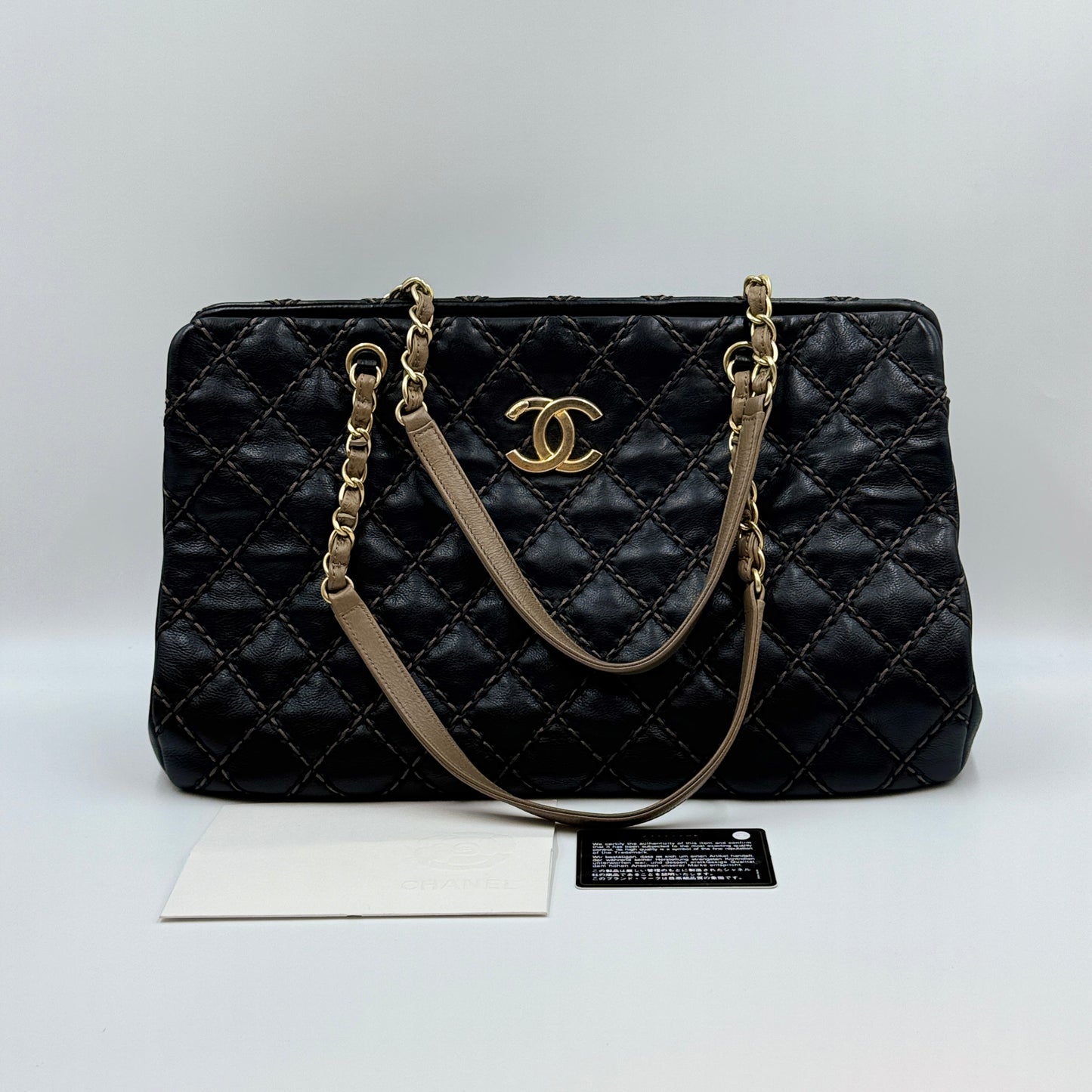 Paris-Dallas Chic Stitch Tote