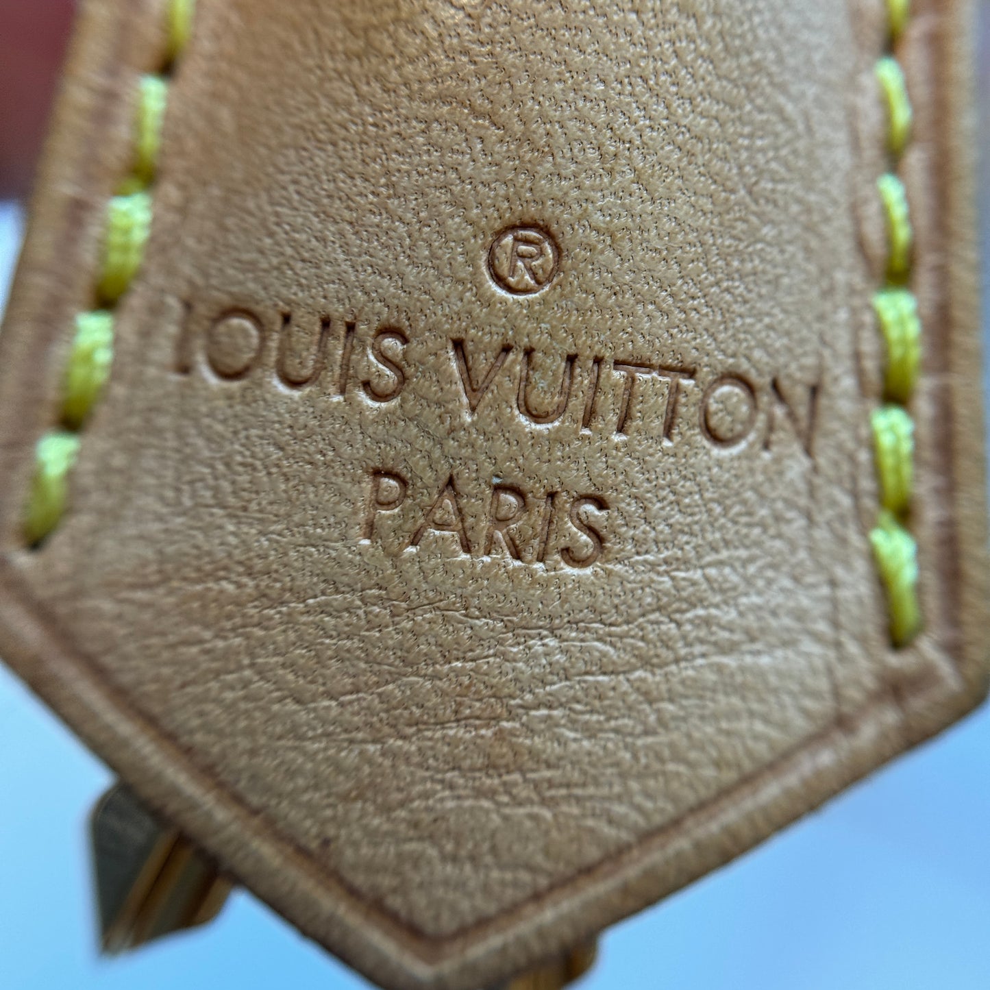 Monogram Canvas Montaigne MM Bag