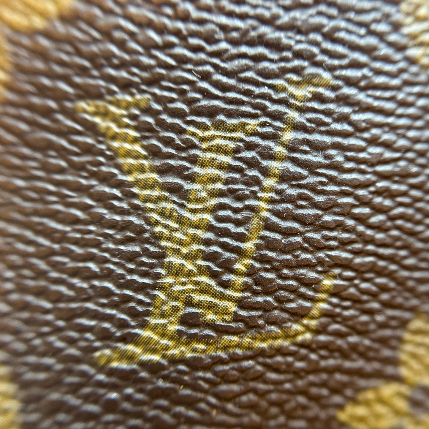 Monogram Papillon 30