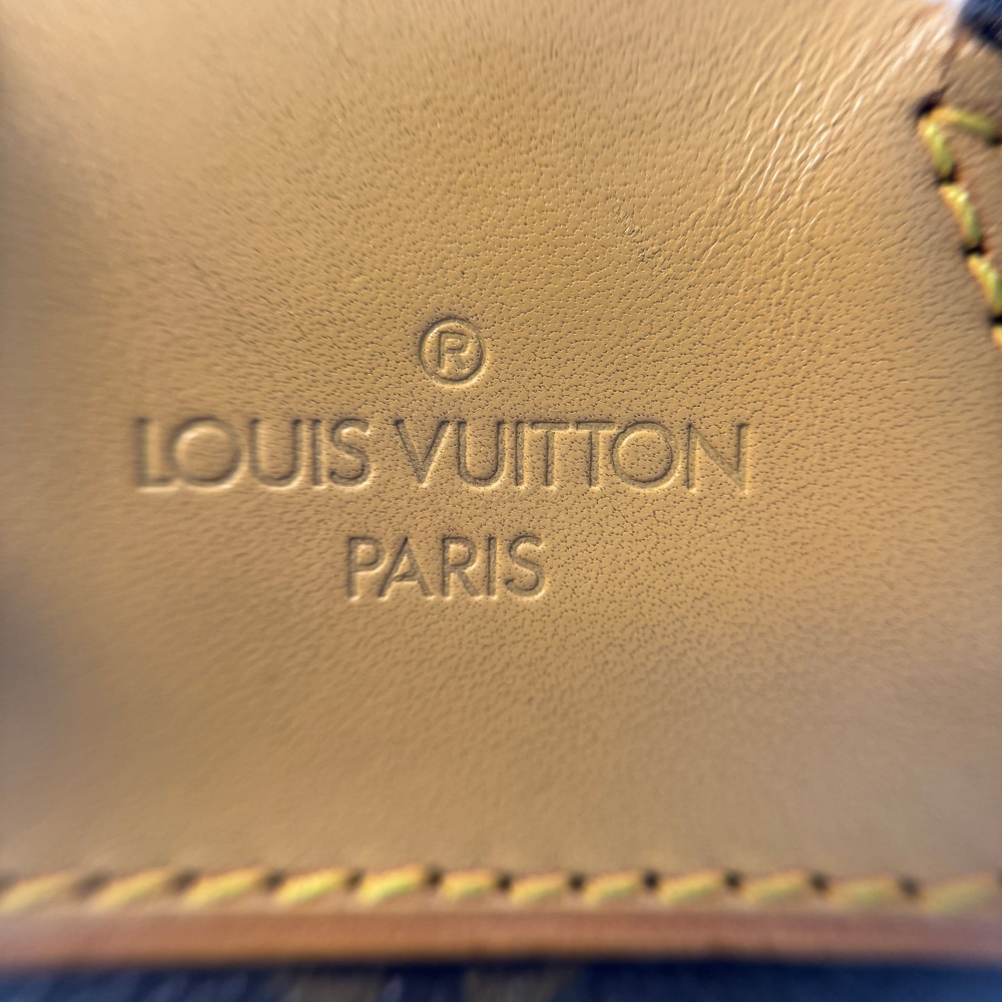 Louis Vuitton Brown Canvas GM Montsouris Backpacks