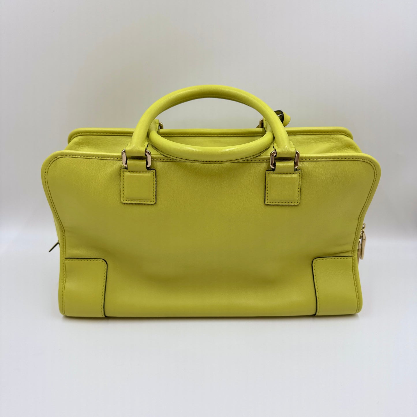 Amazona LIme Yellow Handbag