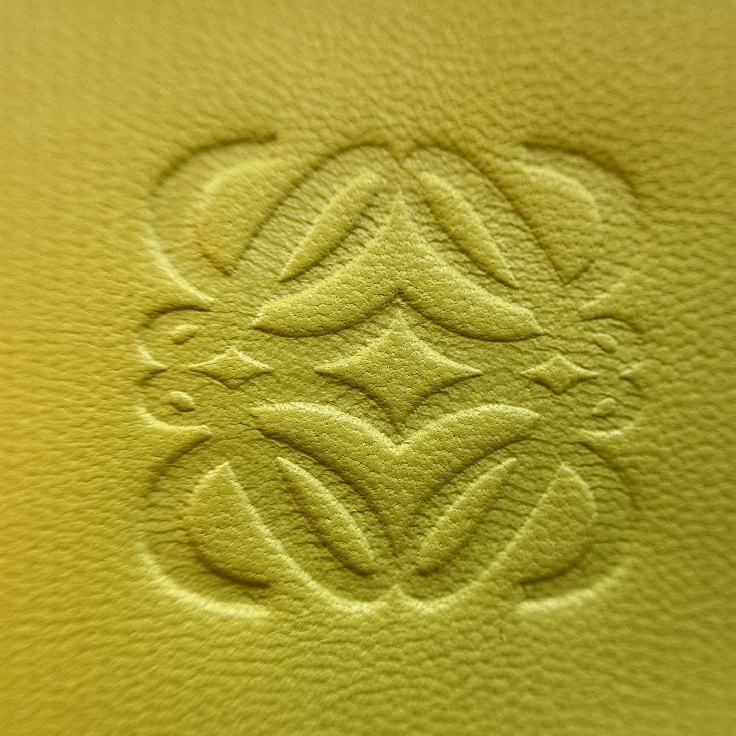Amazona LIme Yellow Handbag