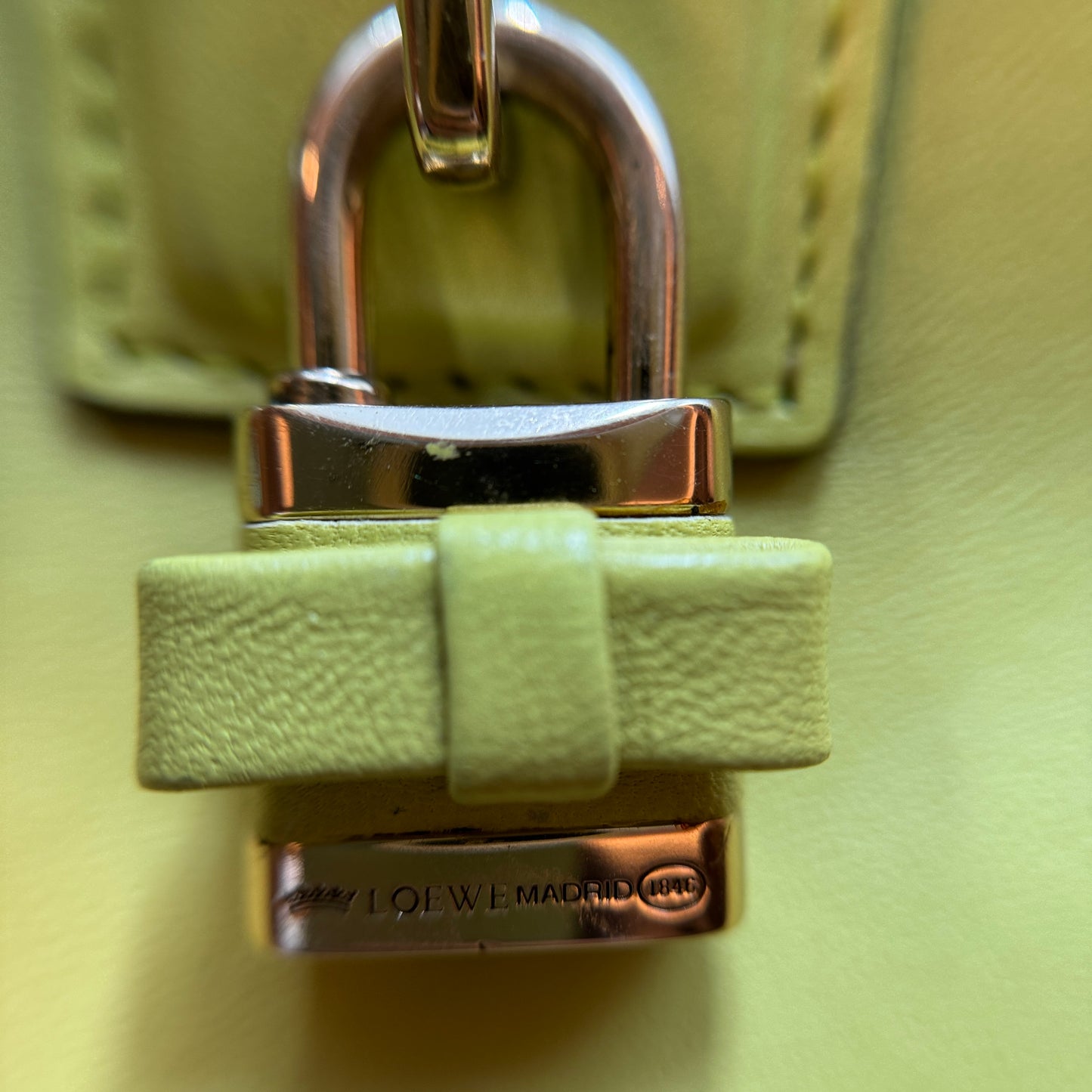 Amazona LIme Yellow Handbag