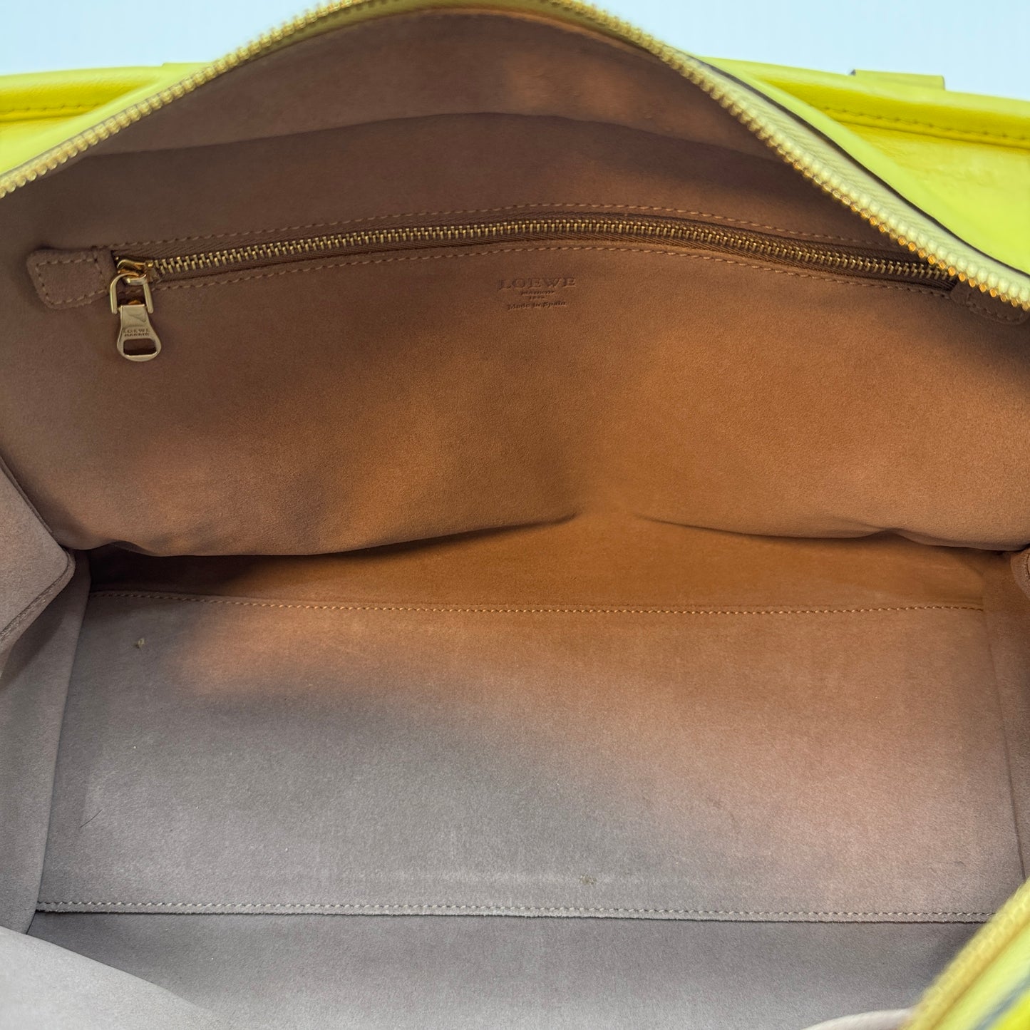 Amazona LIme Yellow Handbag