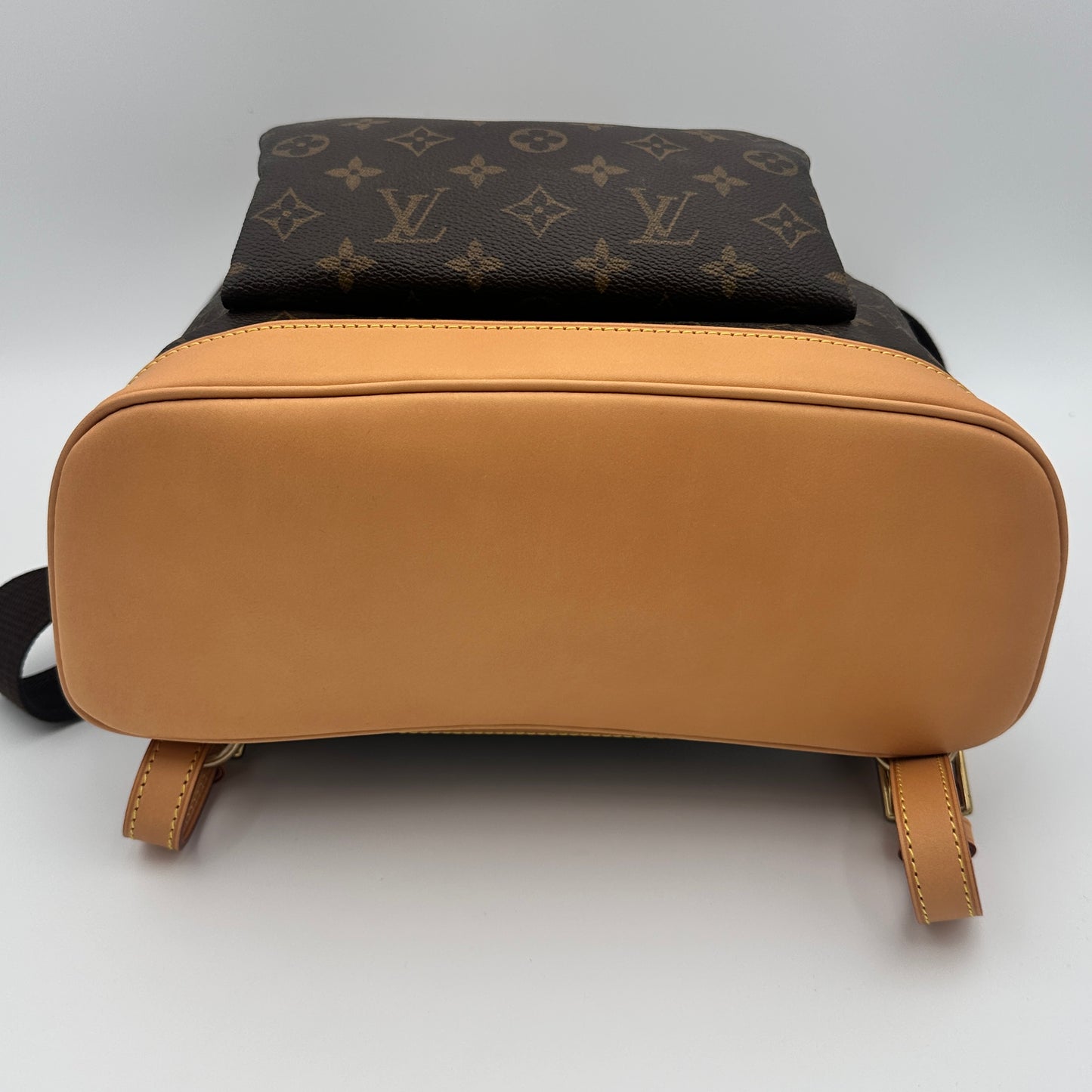 Louis Vuitton Brown Canvas GM Montsouris Backpacks
