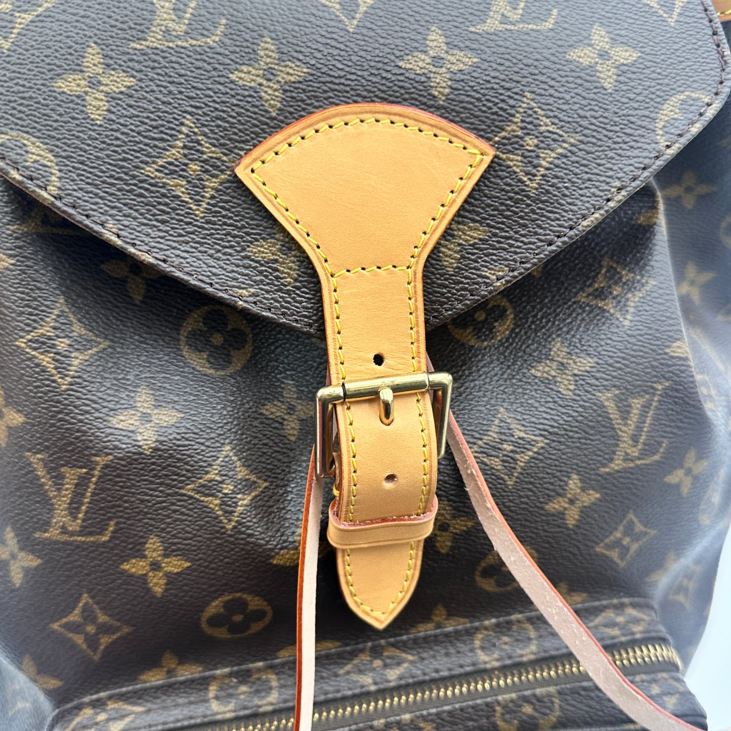 Louis Vuitton Brown Canvas GM Montsouris Backpacks