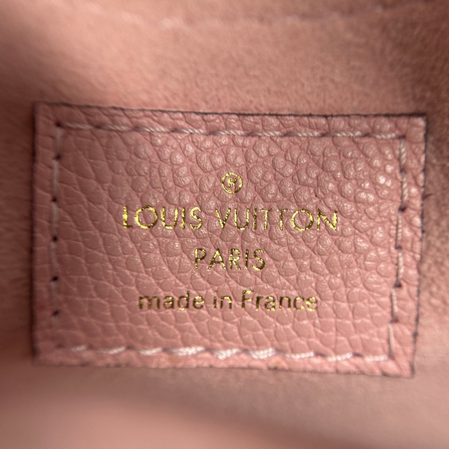 Rose Poudre Damier Ebene Canvas Daily Pouch