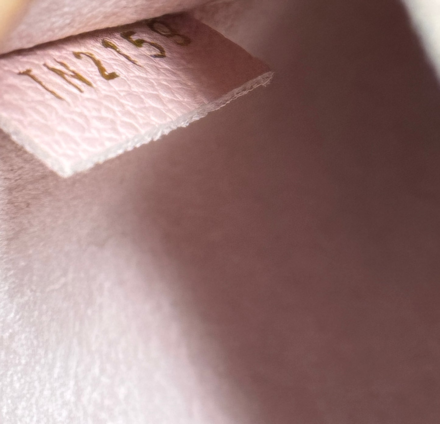 Rose Poudre Damier Ebene Canvas Daily Pouch