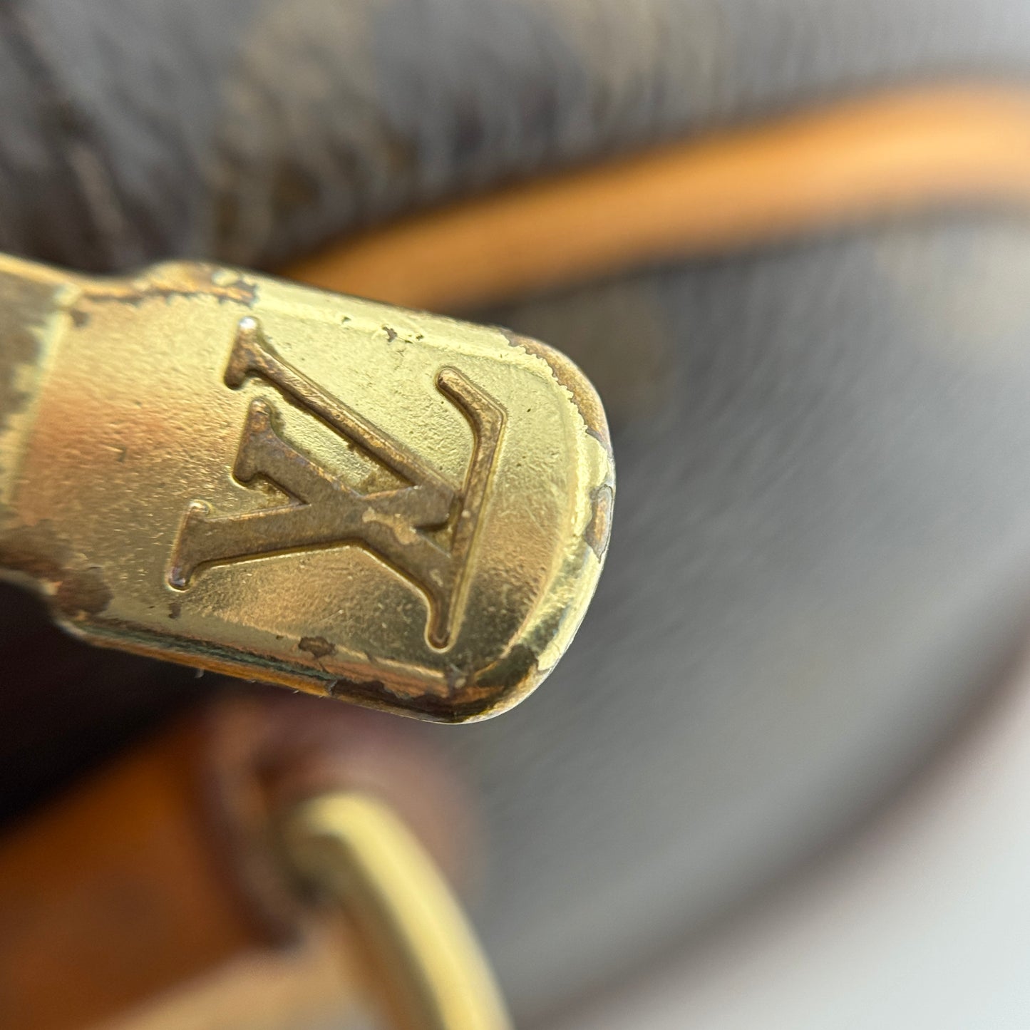 Monogram Nano Speedy