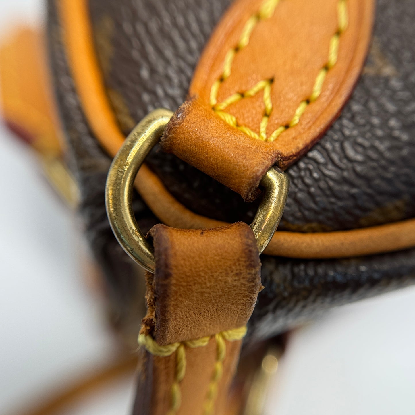 Monogram Nano Speedy