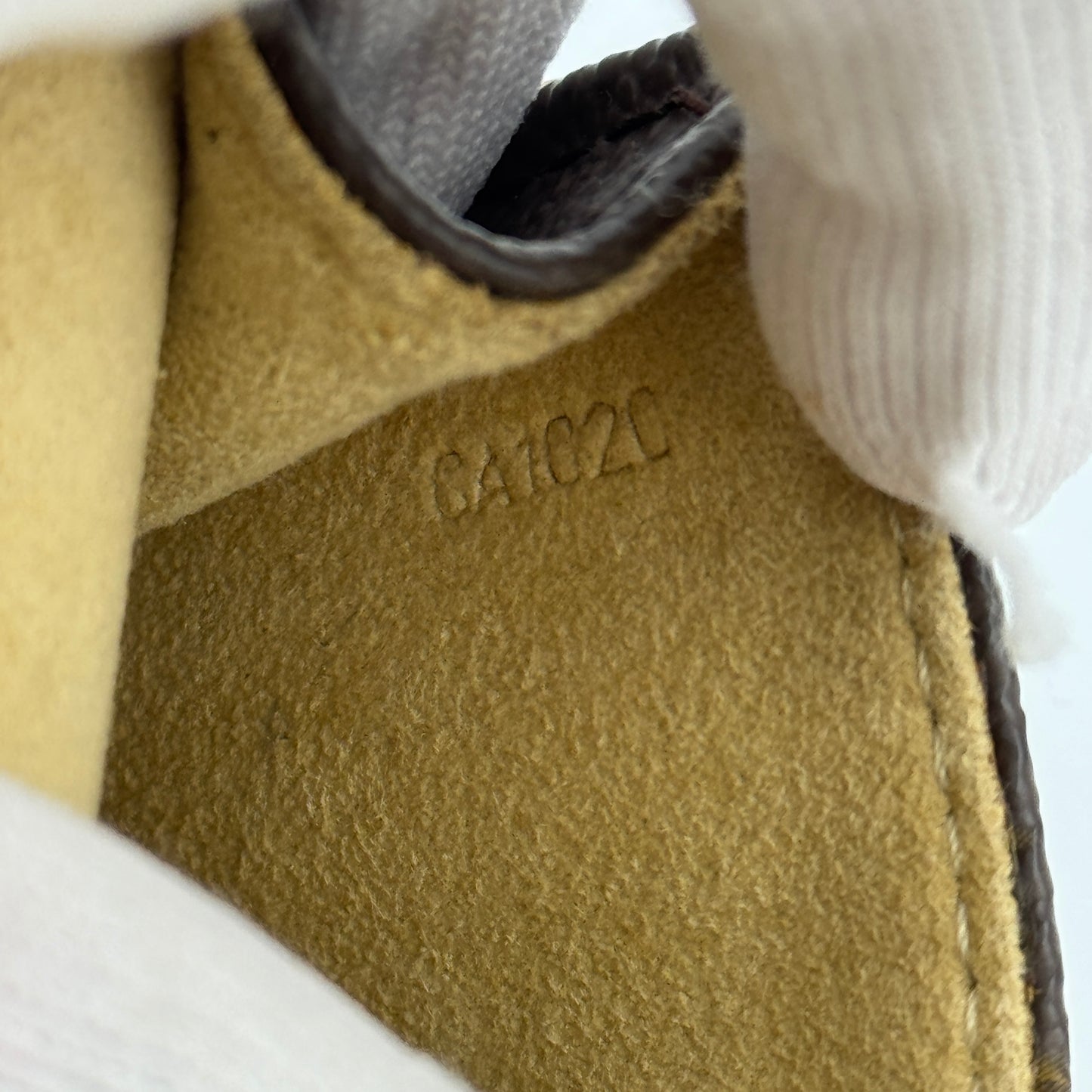 Pochette Twin PM Monogram Crossbody Bag