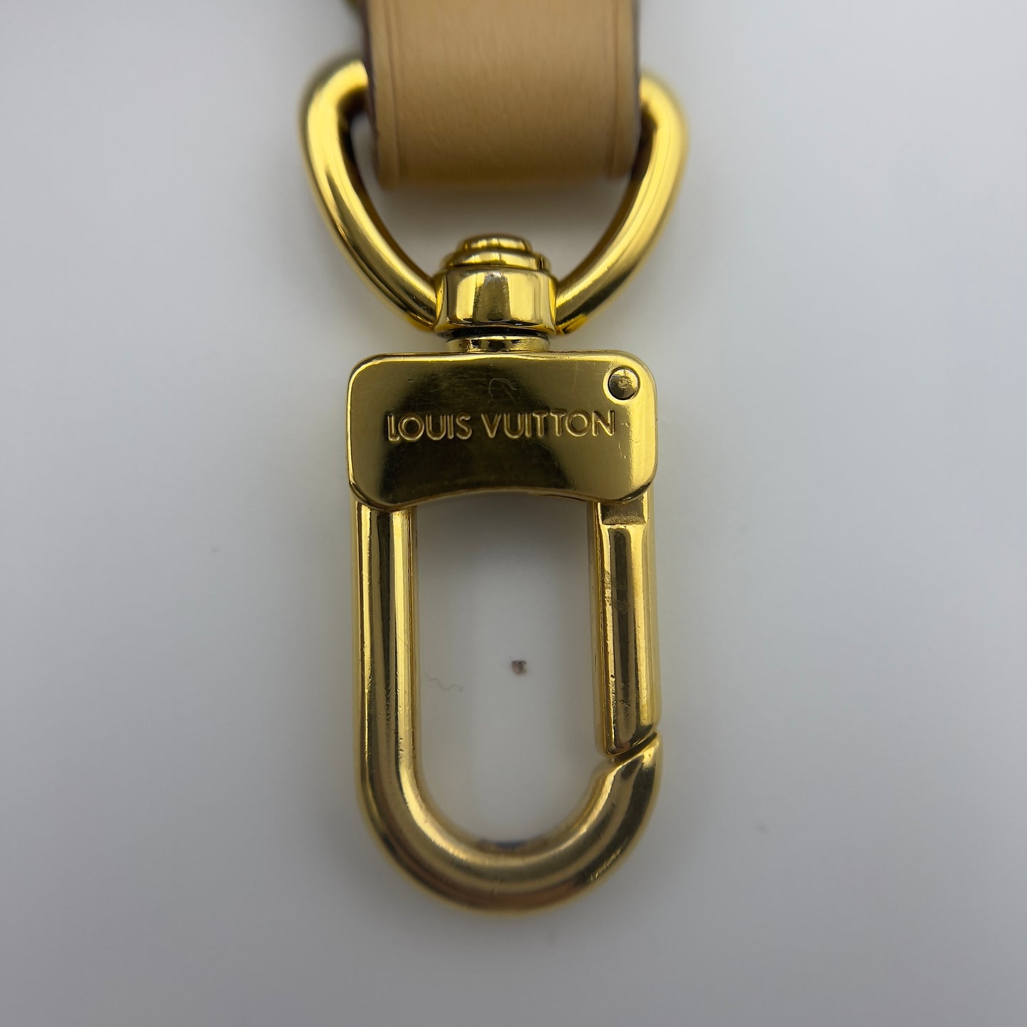 Monogram Speedy Bandouliere 20