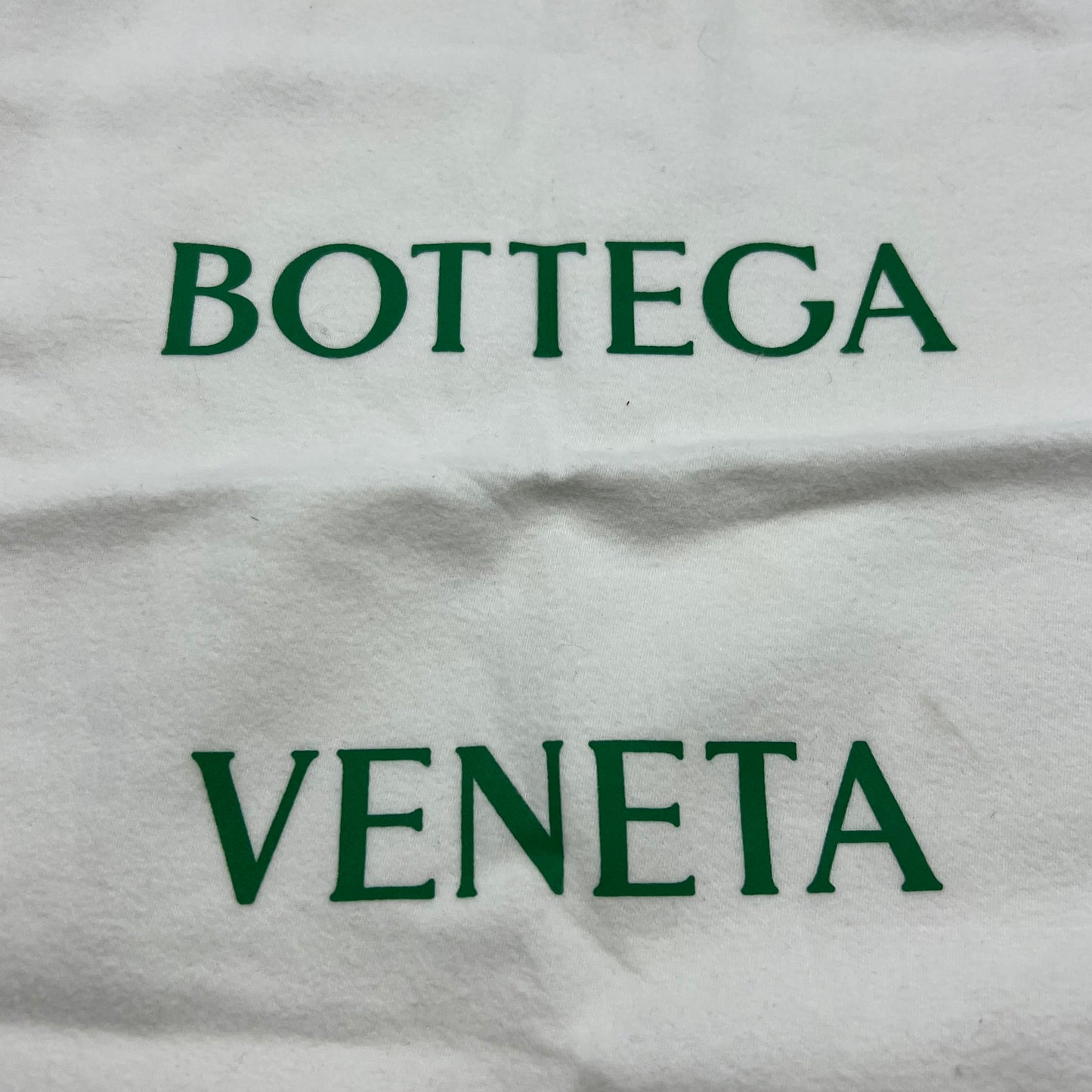 Mount Envelope Bag Green