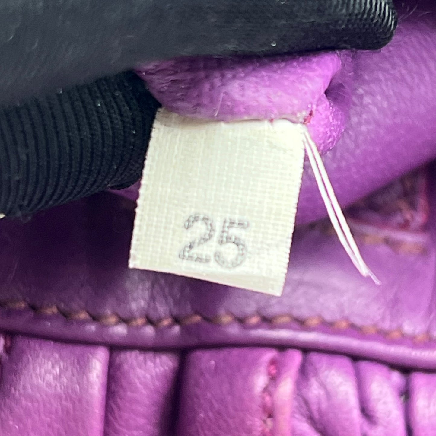 Nappa Stripes Hobo Bag Purple