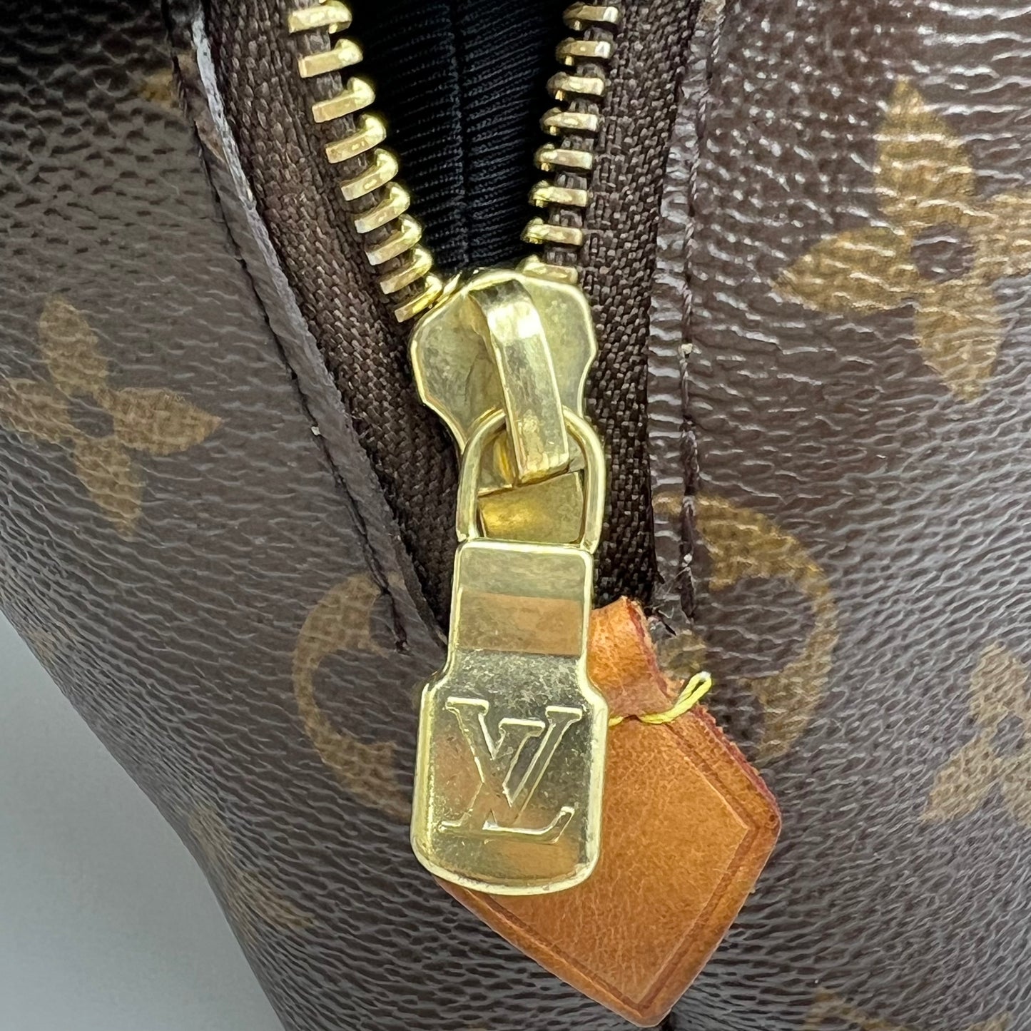 Monogram Cosmetic Pouch GM Microchipped