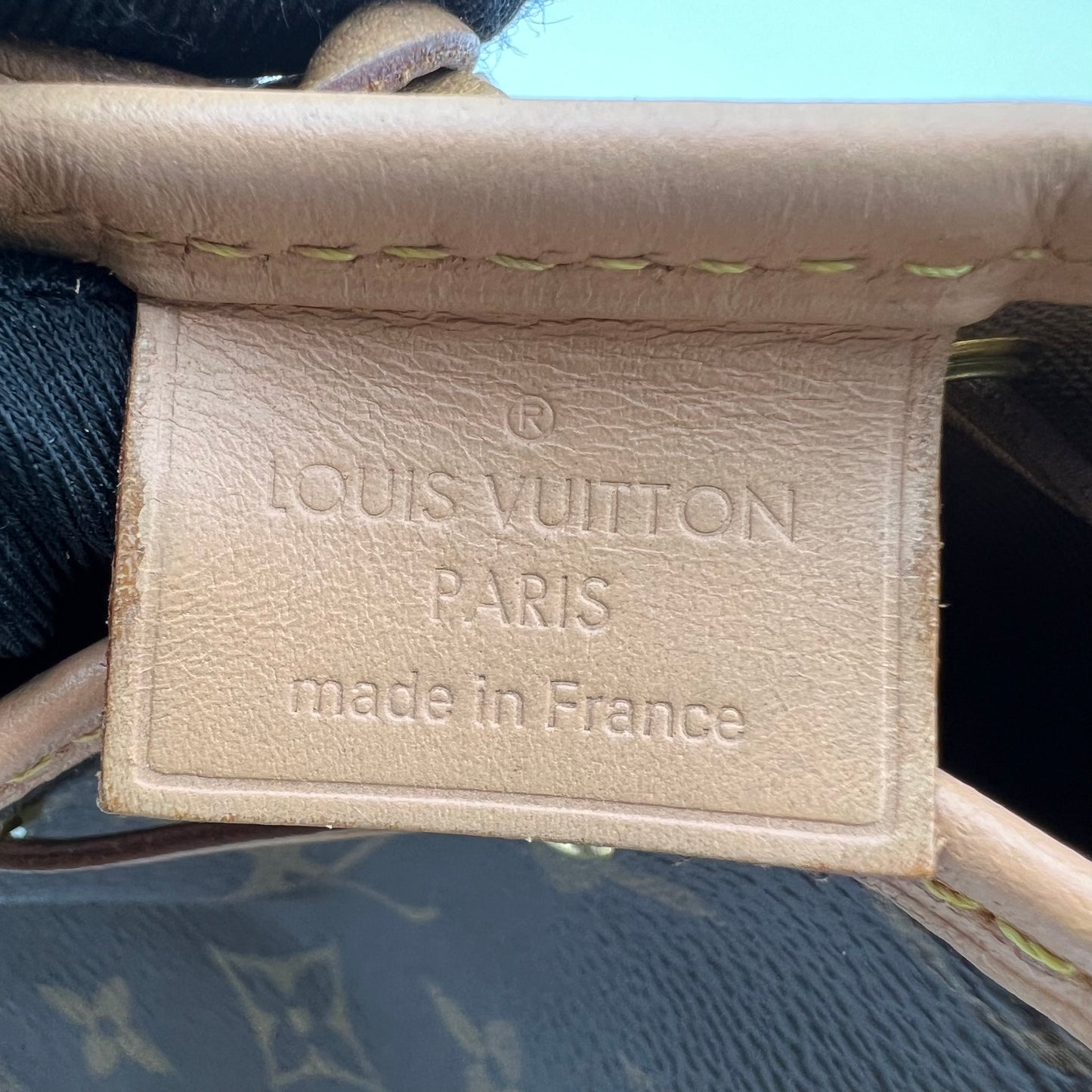 Monogram Canvas Noé Nano