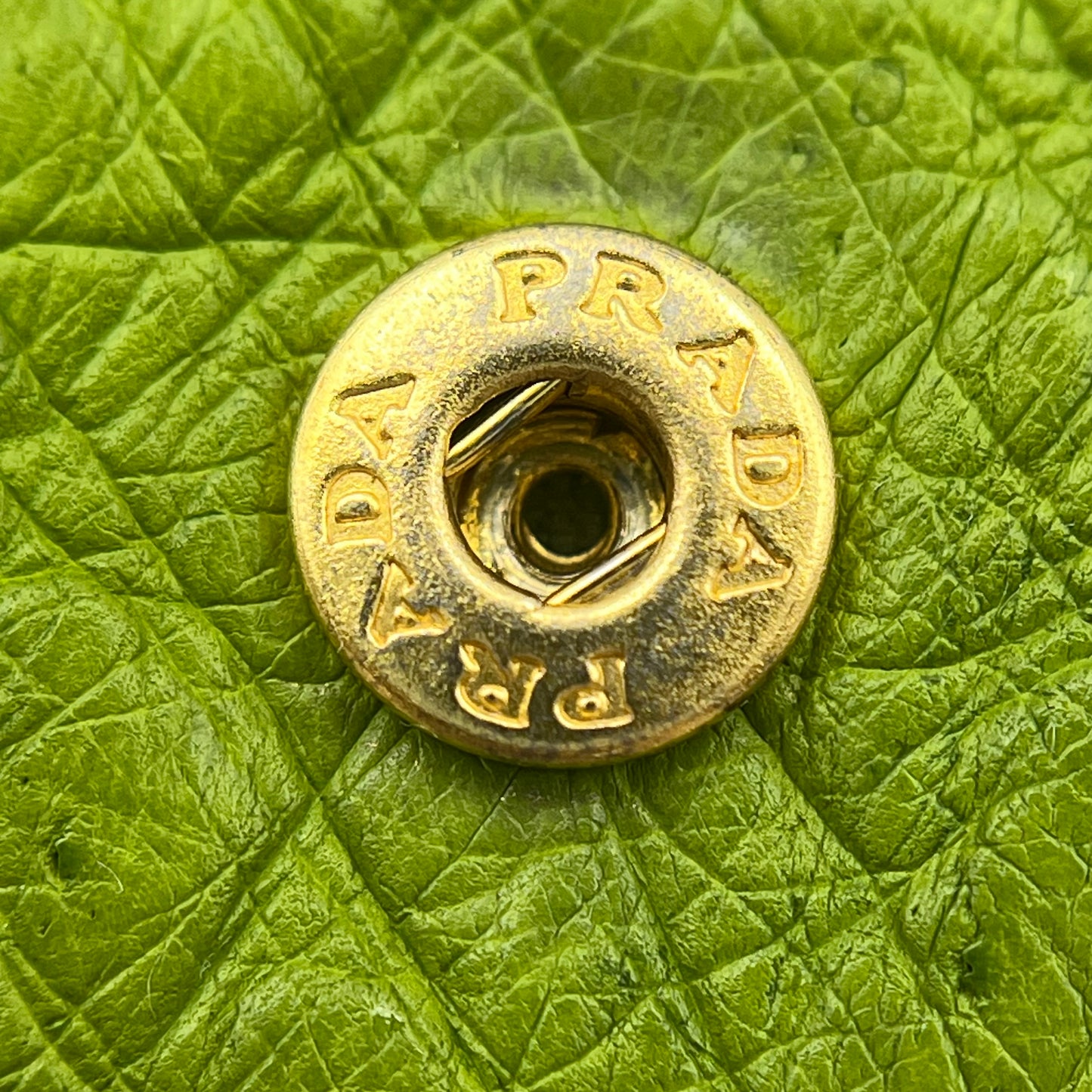 Green Ostrich Flap Continental Wallet