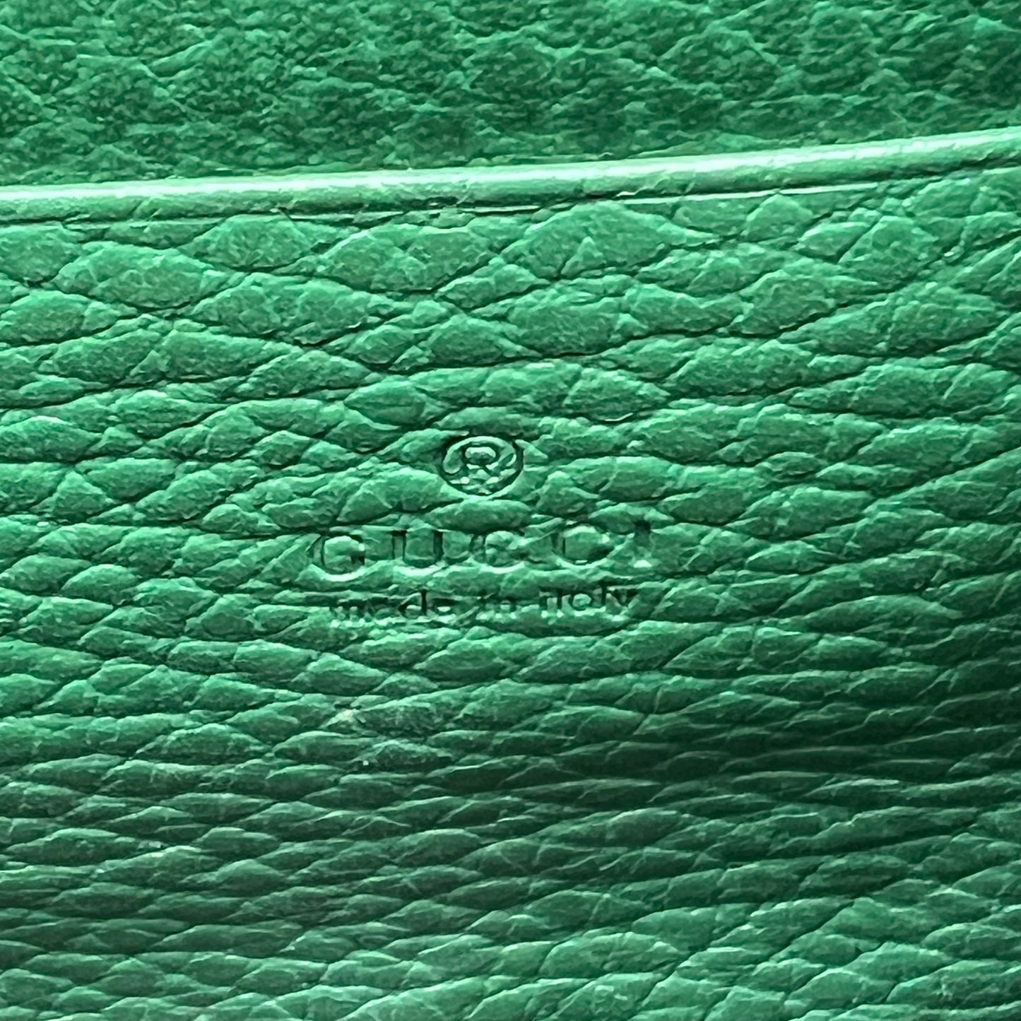 Mini Dionysus Wallet on Chain Green