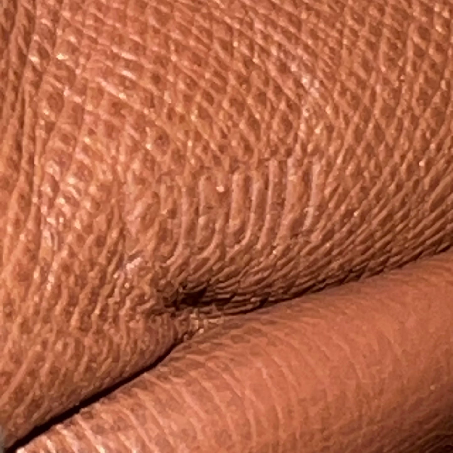 Monogram Papillon 30 with Companion