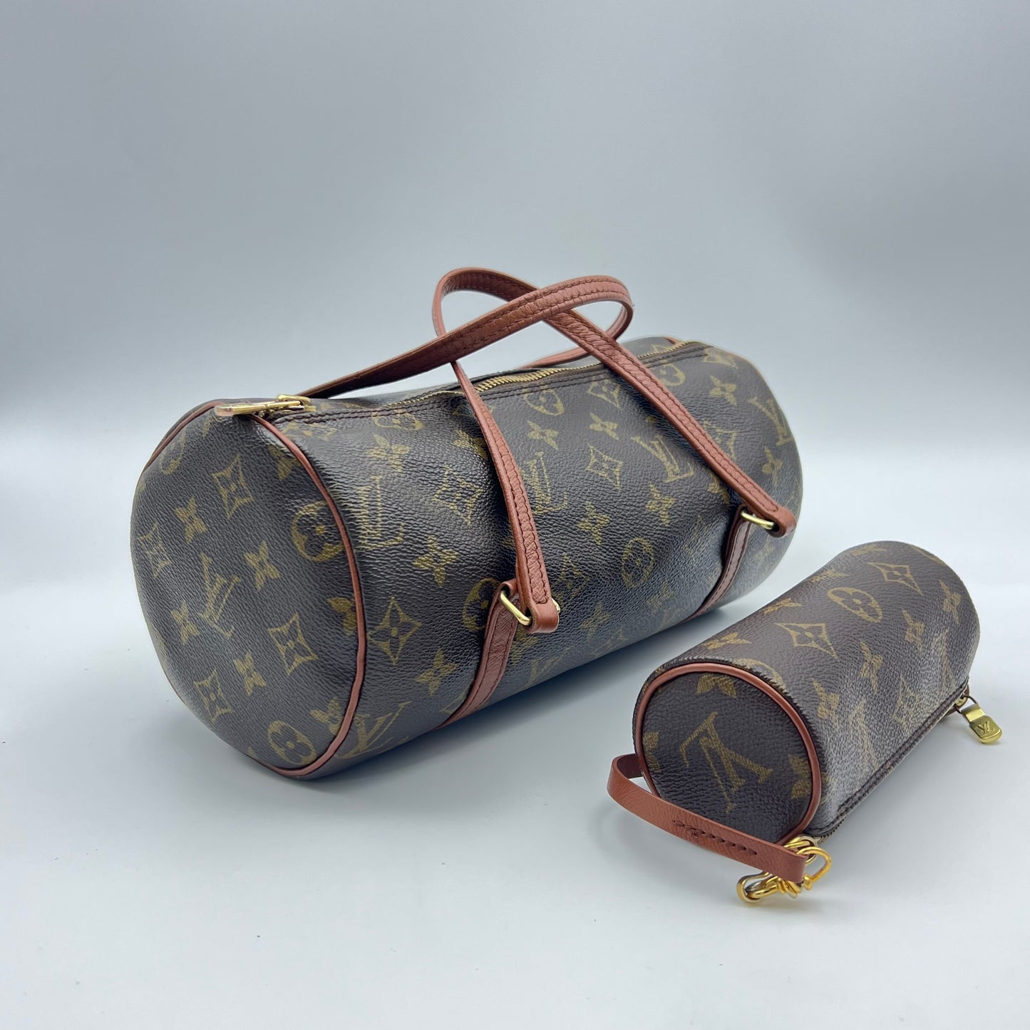 Monogram Papillon 30 with Companion