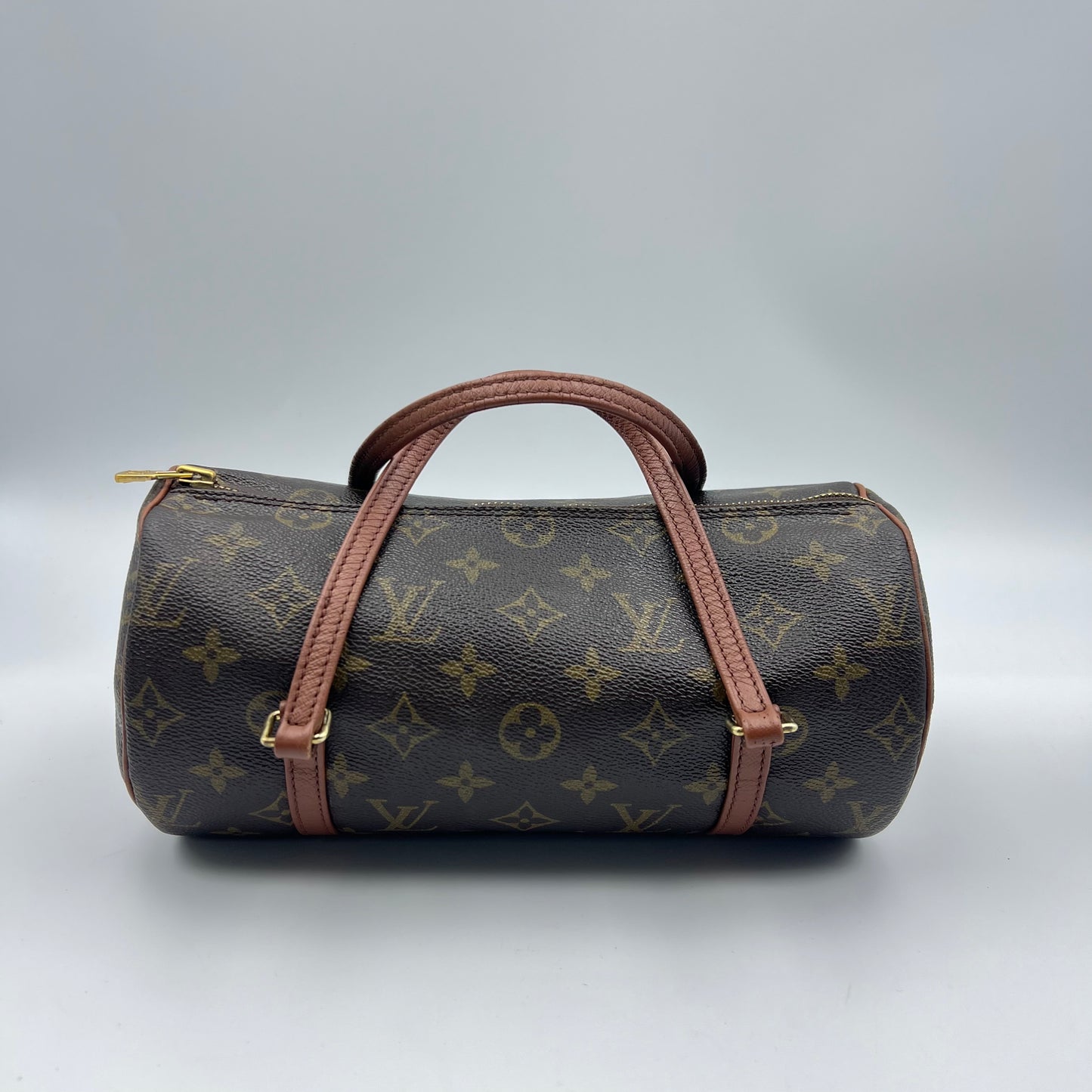 Monogram Papillon 30 with Companion