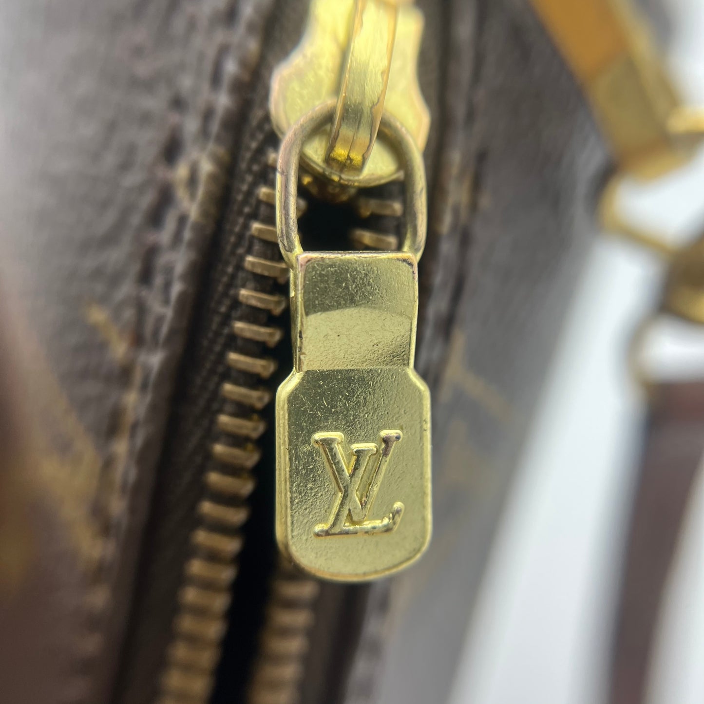 Monogram Papillon 30 with Companion