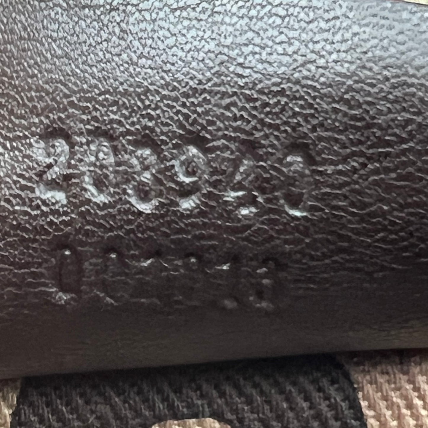 GG Signature Babouska Brown