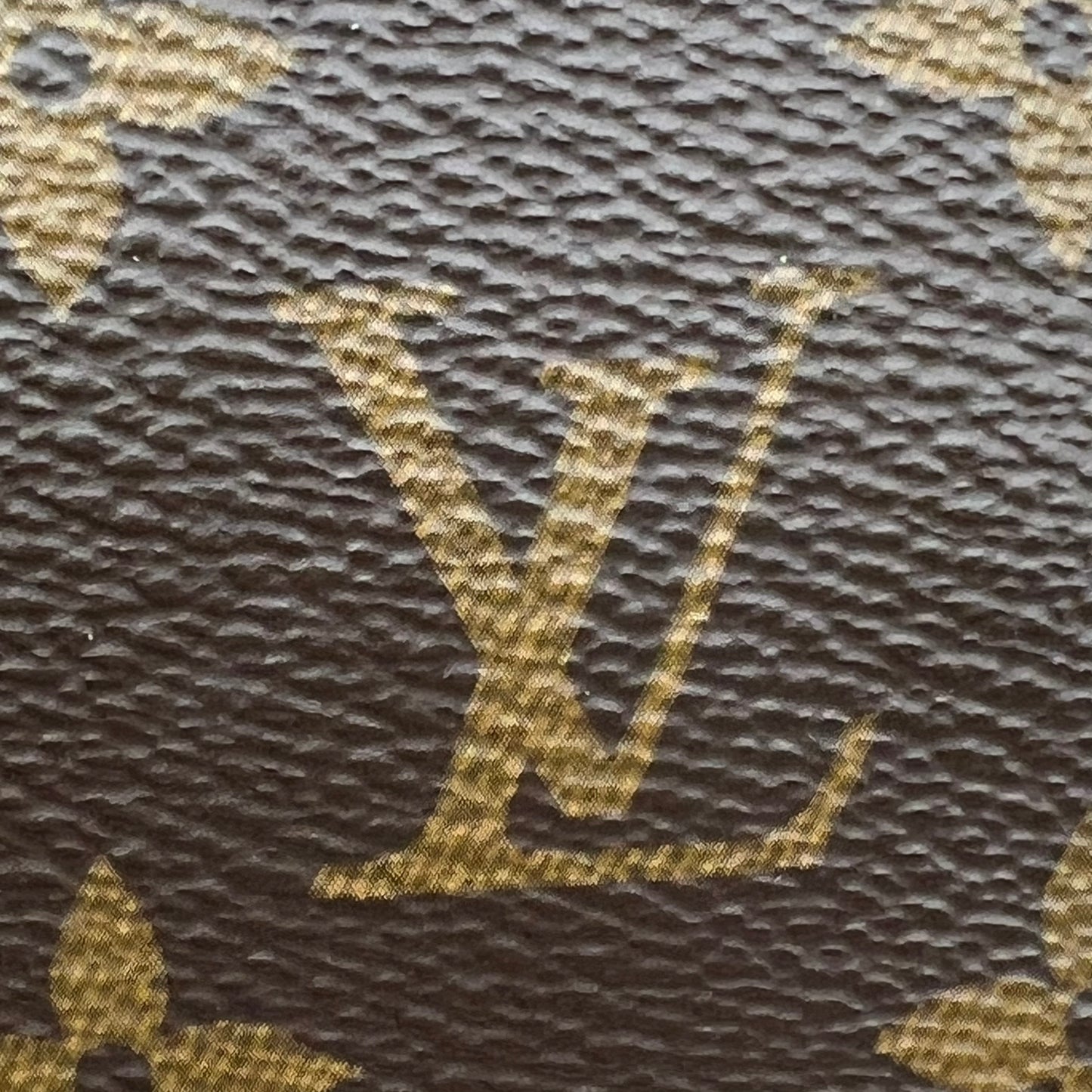 Monogram Mini Pochette Accessories
