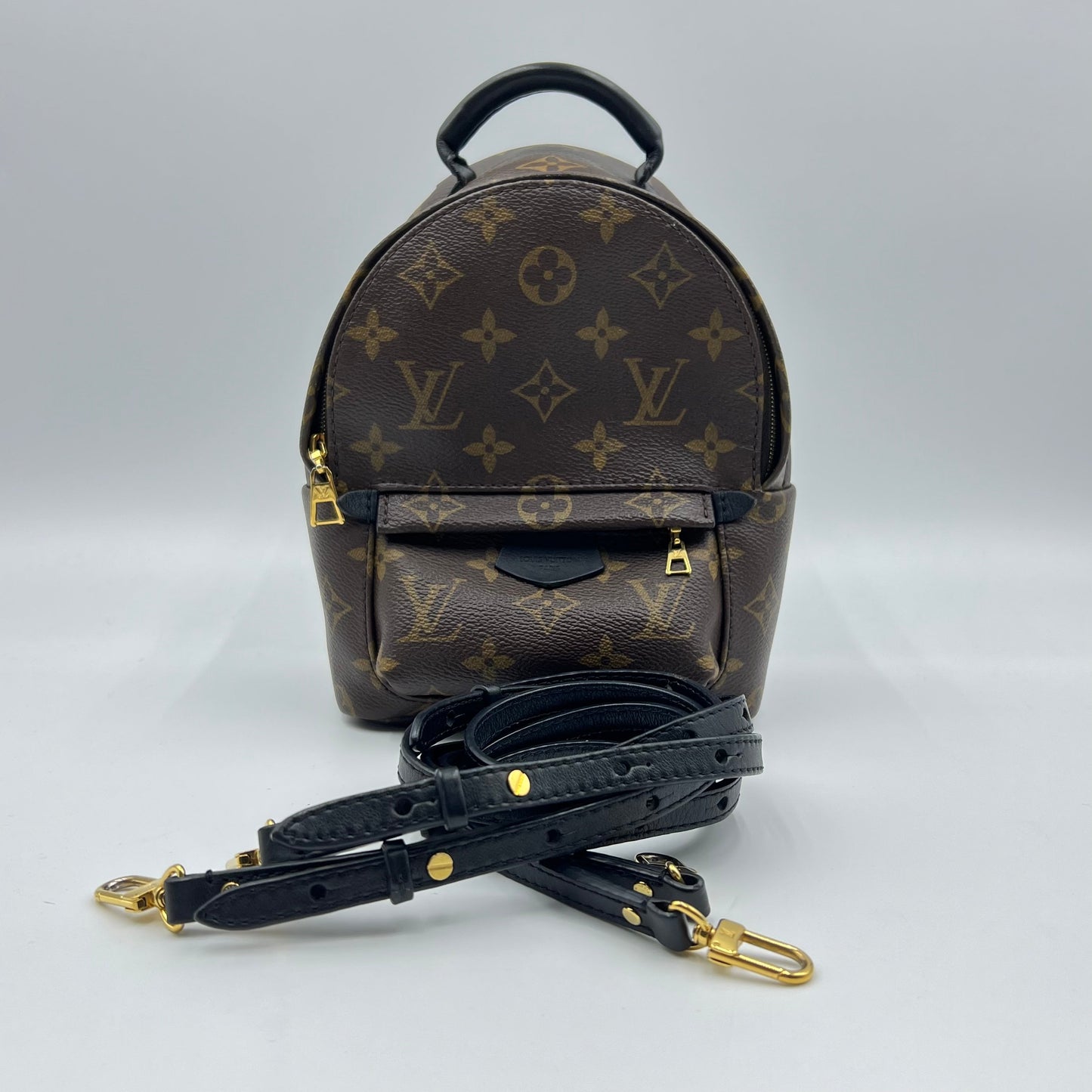 Louis Vuitton Monogram Canvas Palm Springs Mini Backpack