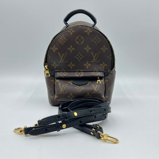 Louis Vuitton Monogram Canvas Palm Springs Mini Backpack