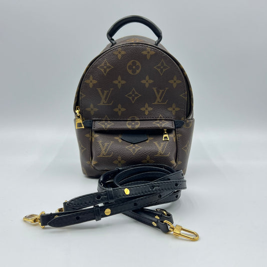 Monogram Canvas Palm Springs Mini Backpack Bag