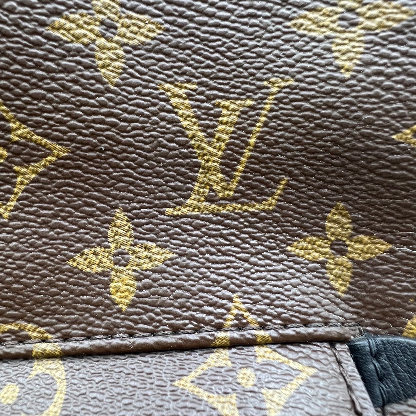 Monogram Canvas Palm Springs Mini Backpack Bag