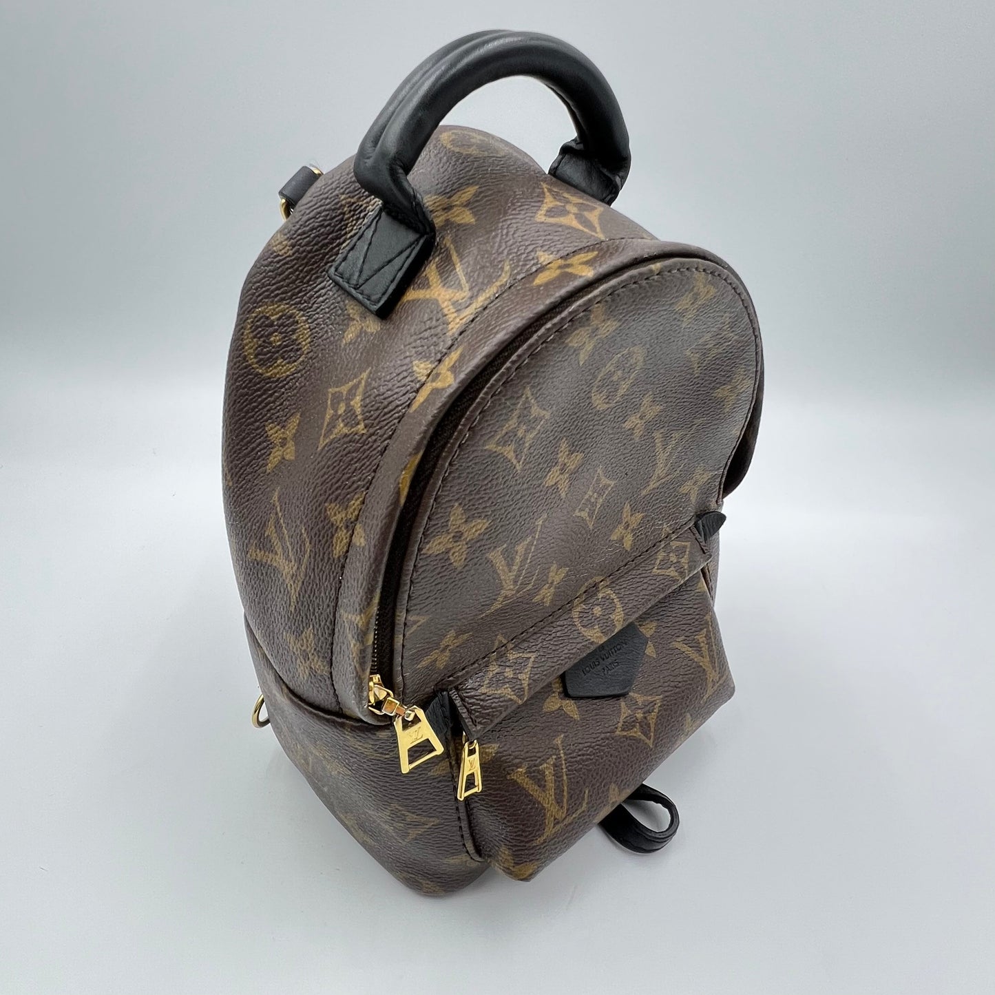 Louis Vuitton Monogram Canvas Palm Springs Mini Backpack