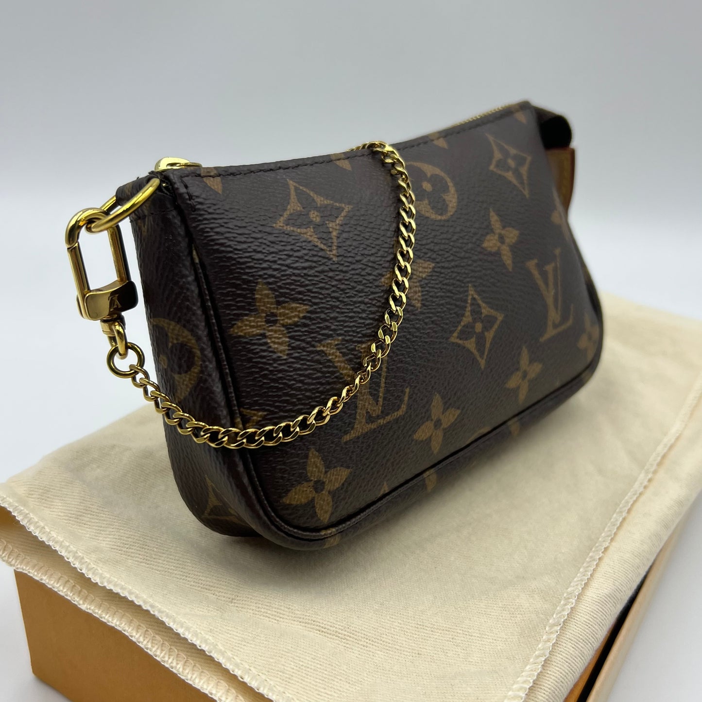 Monogram Mini Pochette Accessories
