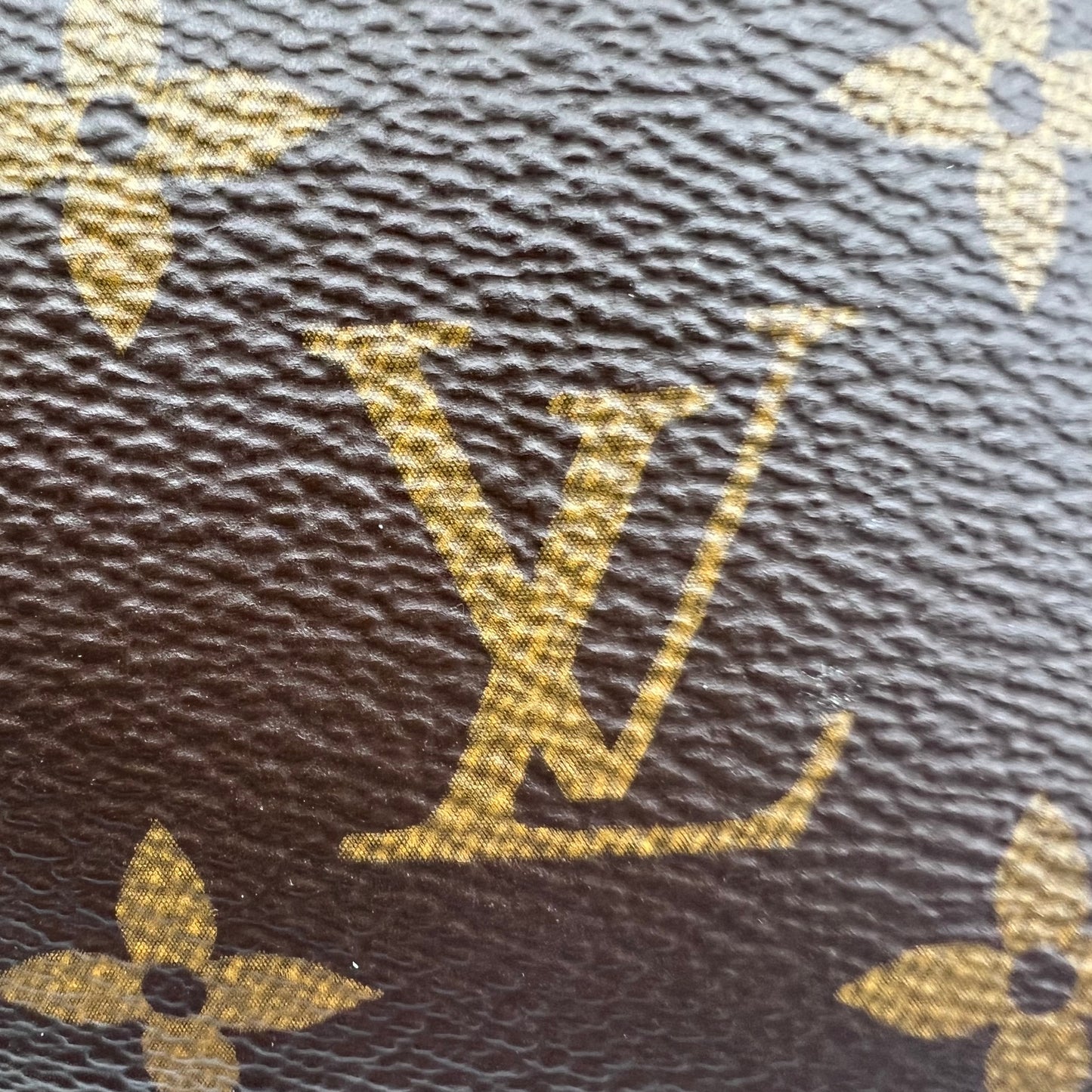 Monogram Mini Pochette Accessories
