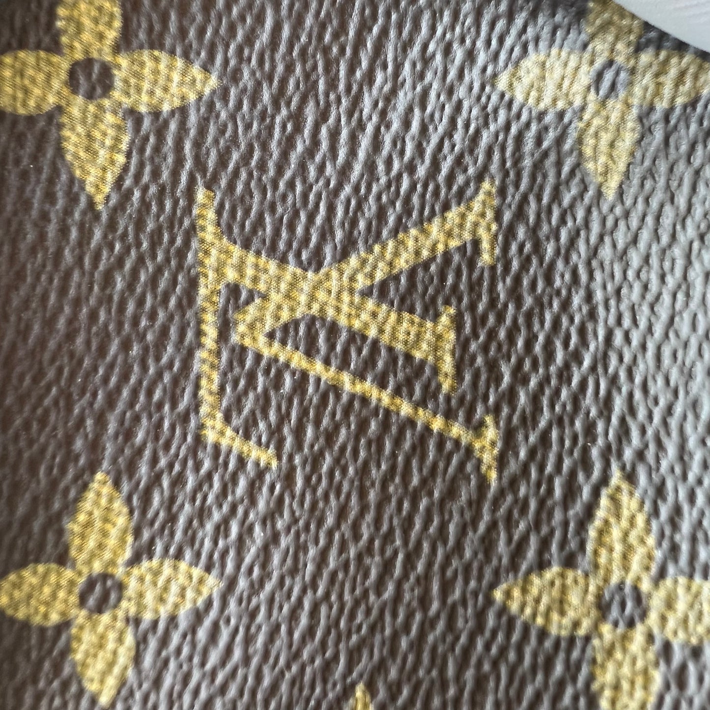 Monogram Mini Pochette Accessories