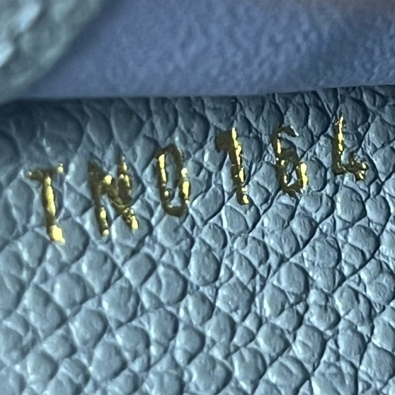 Long Wallet Monogram Empreinte Zippy Blue