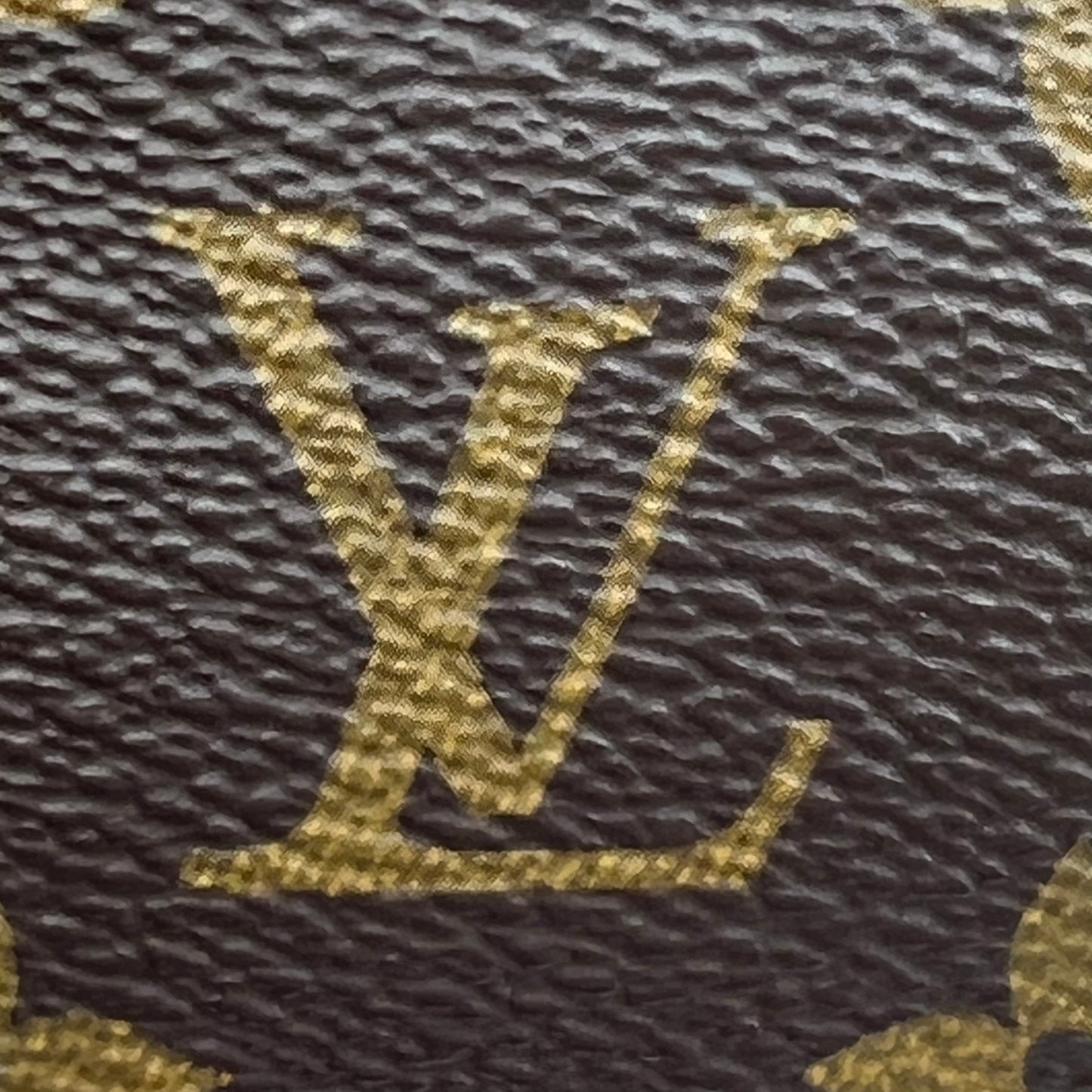 Monogram Mini Pochette Accessories