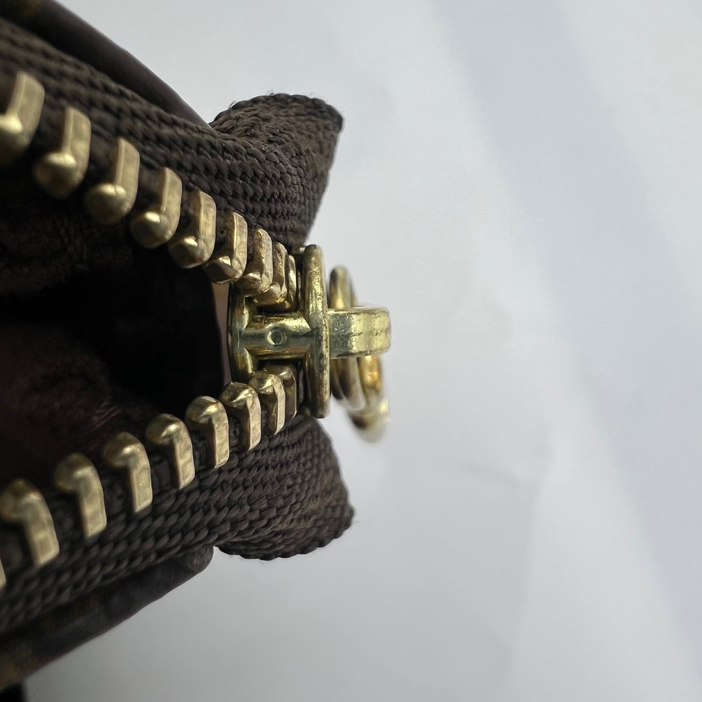 Monogram Mini Pochette Accessories