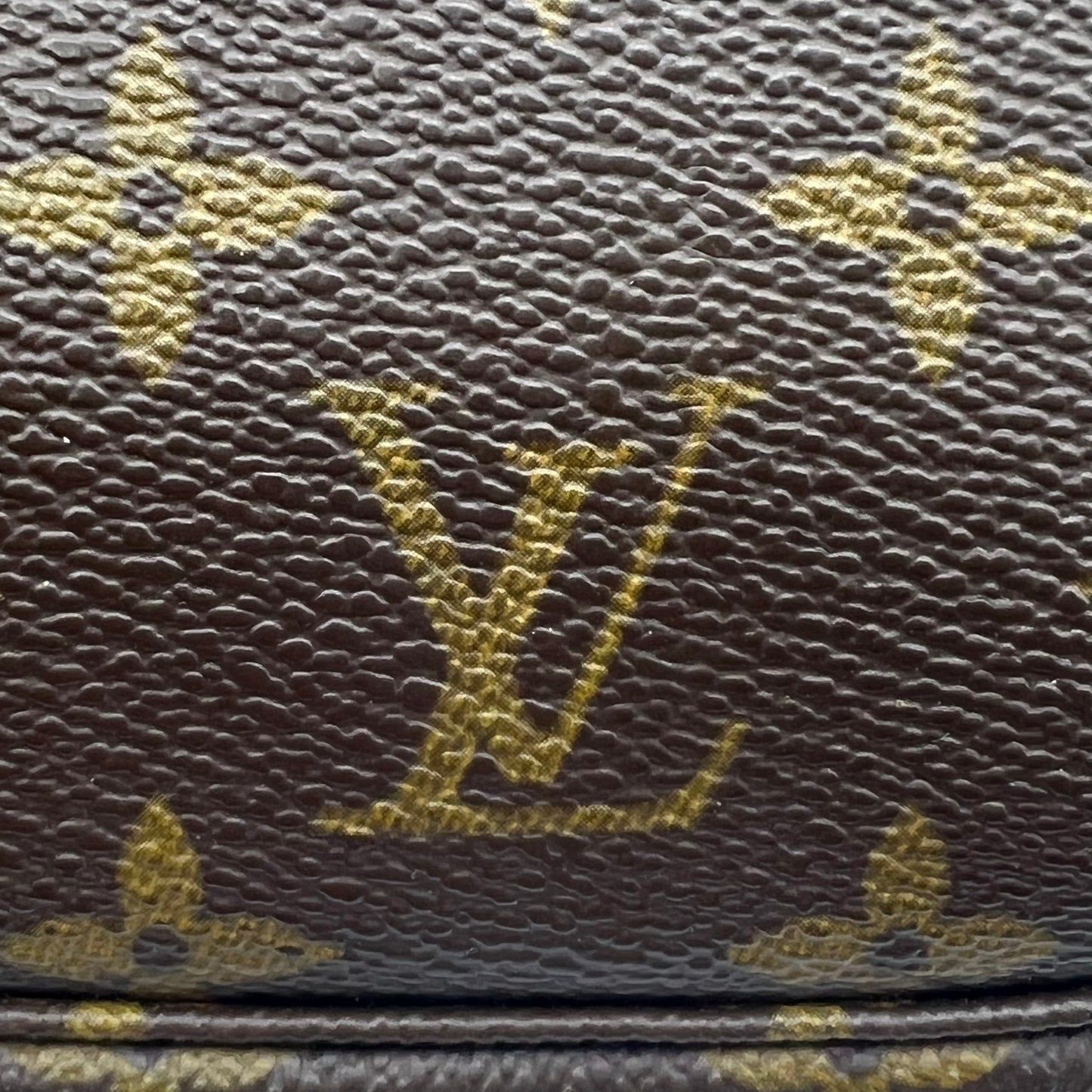 Monogram Canvas Pochette Accessories