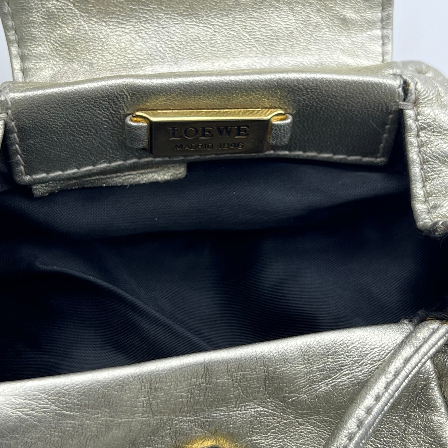 Fringe Shoulder Bag Leather Silver Tone