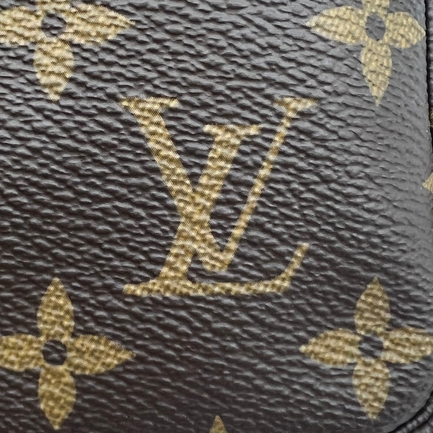 Monogram Mini Pochette Accessories