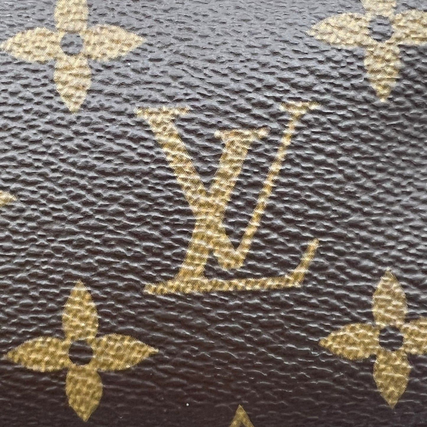 Monogram Multi Pochette Accessories Pochette