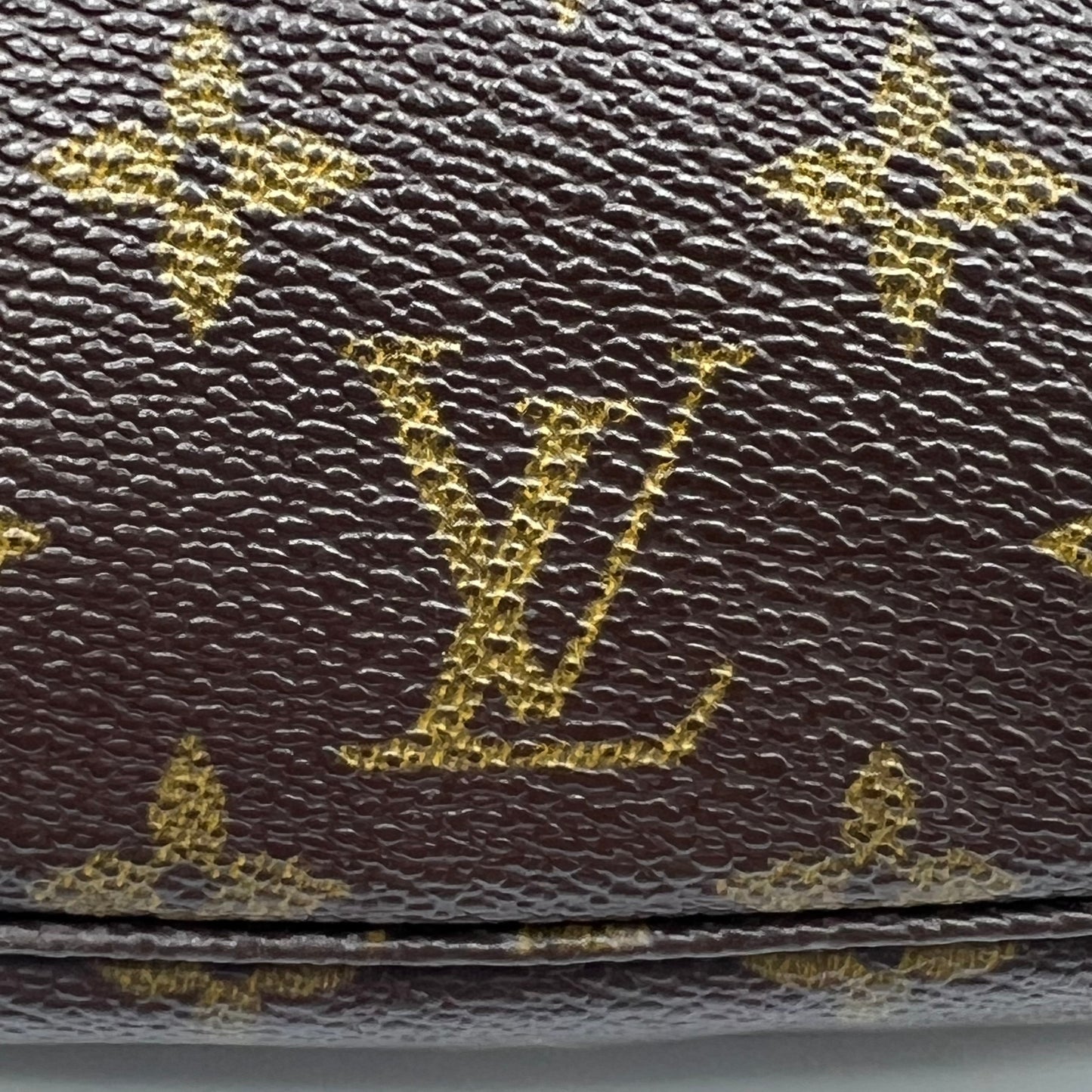 Monogram Canvas Pochette Accessories
