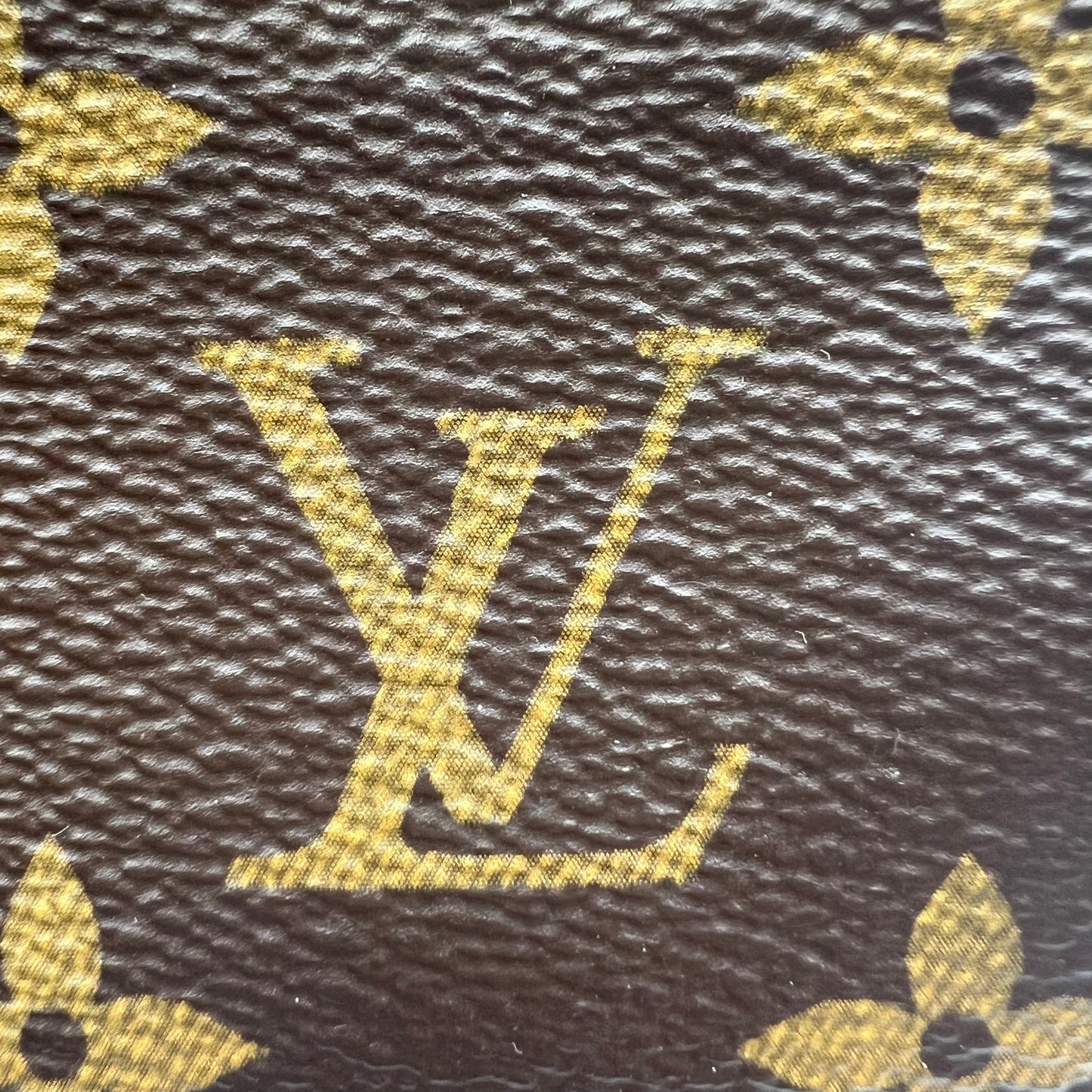 Monogram Mini Pochette Accessories