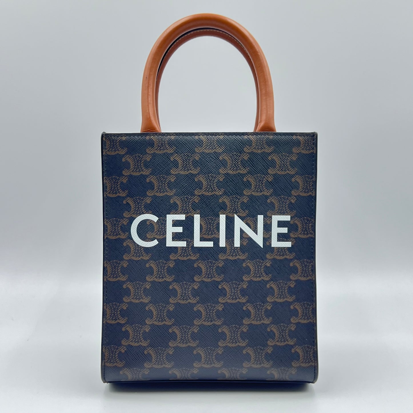 Black/Brown Triomphe Coated Canvas and Leather Mini Vertical Cabas Tote