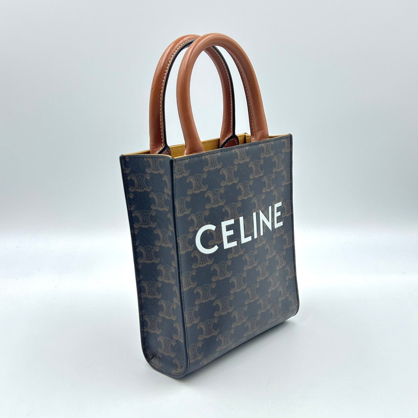 Black/Brown Triomphe Coated Canvas and Leather Mini Vertical Cabas Tote