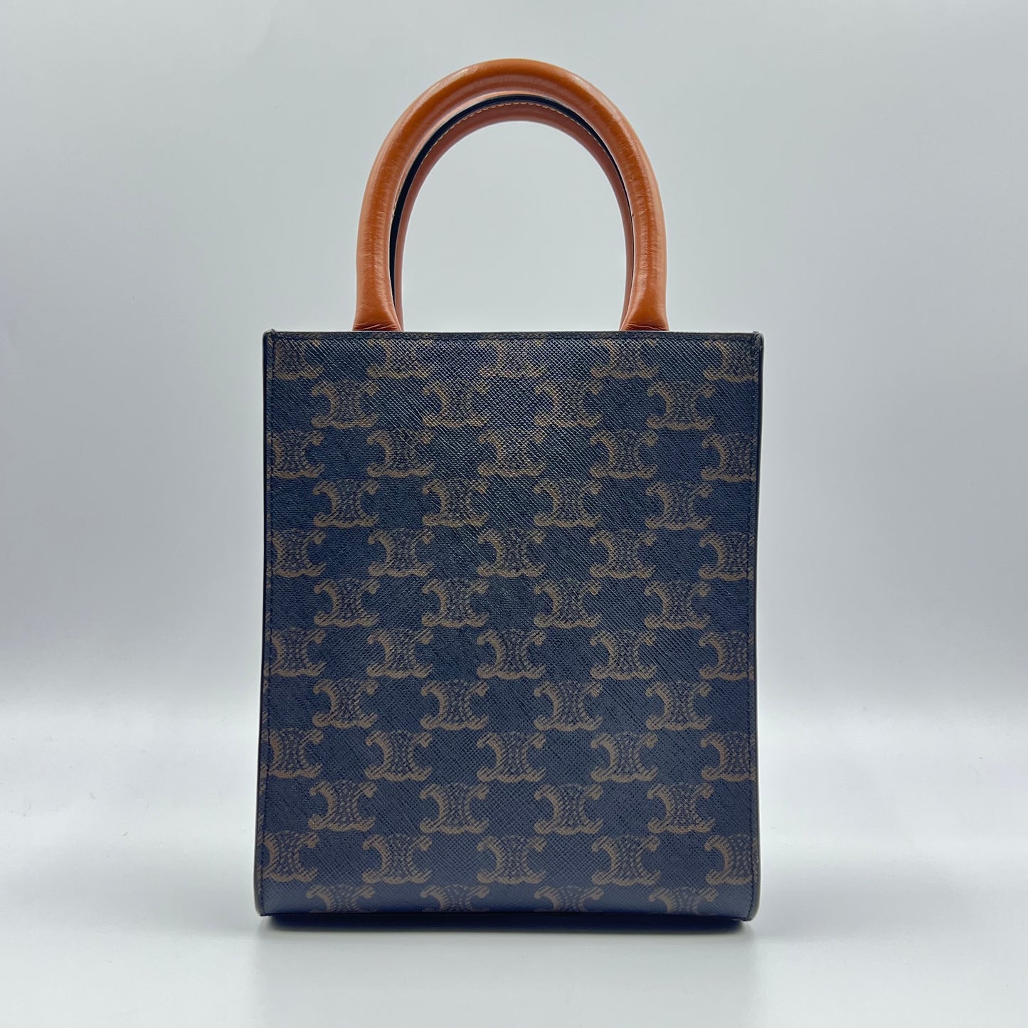 Black/Brown Triomphe Coated Canvas and Leather Mini Vertical Cabas Tote