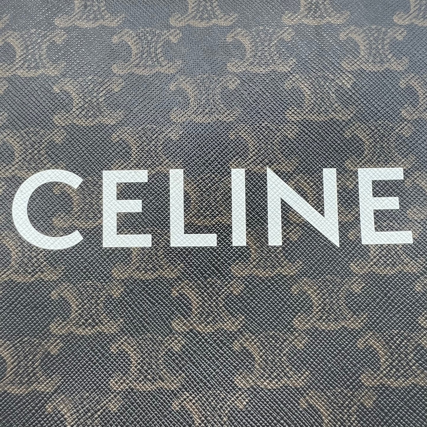 Black/Brown Triomphe Coated Canvas and Leather Mini Vertical Cabas Tote