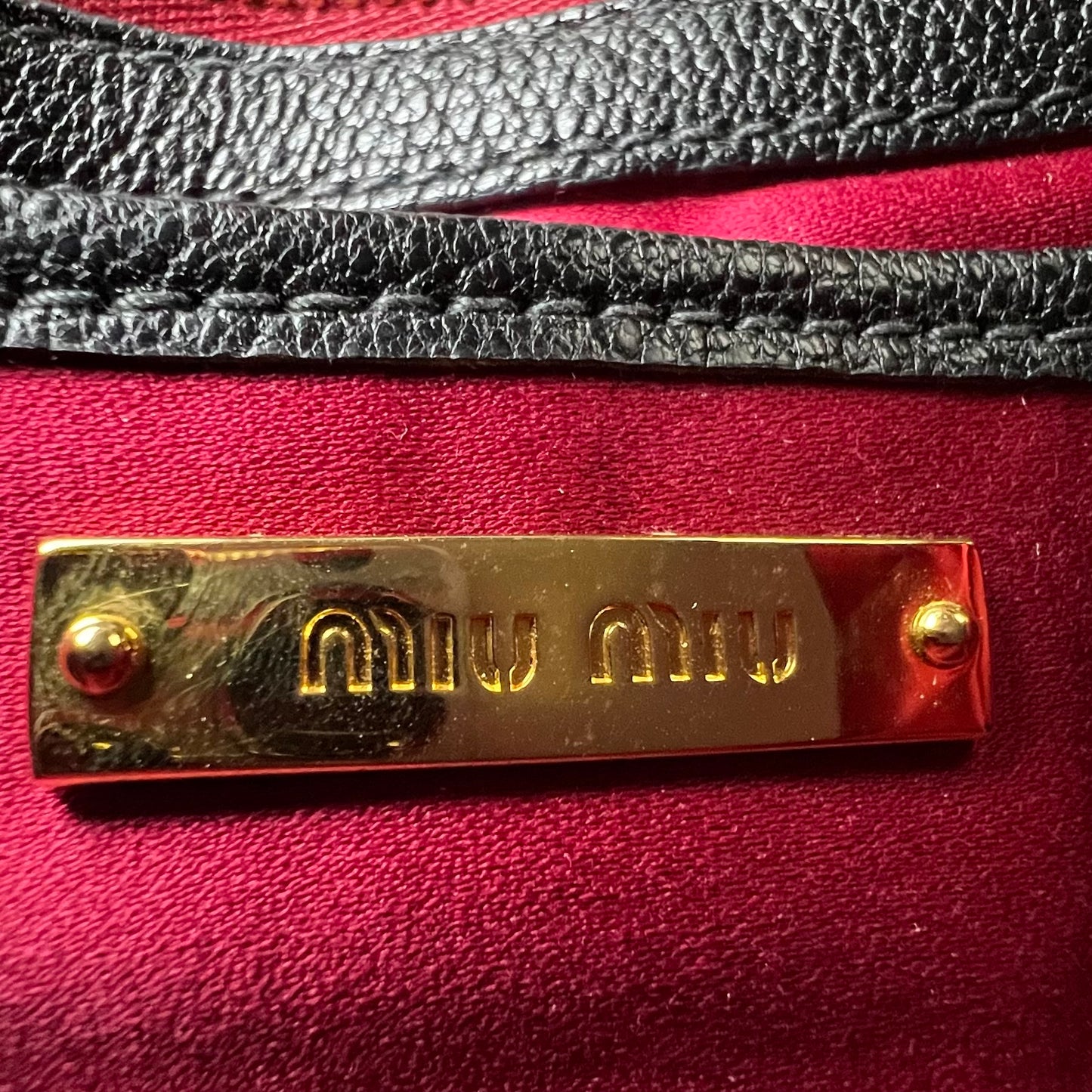 Leather Crossbody Bags MiuMiu Madras Jeweled Crossbody Bag